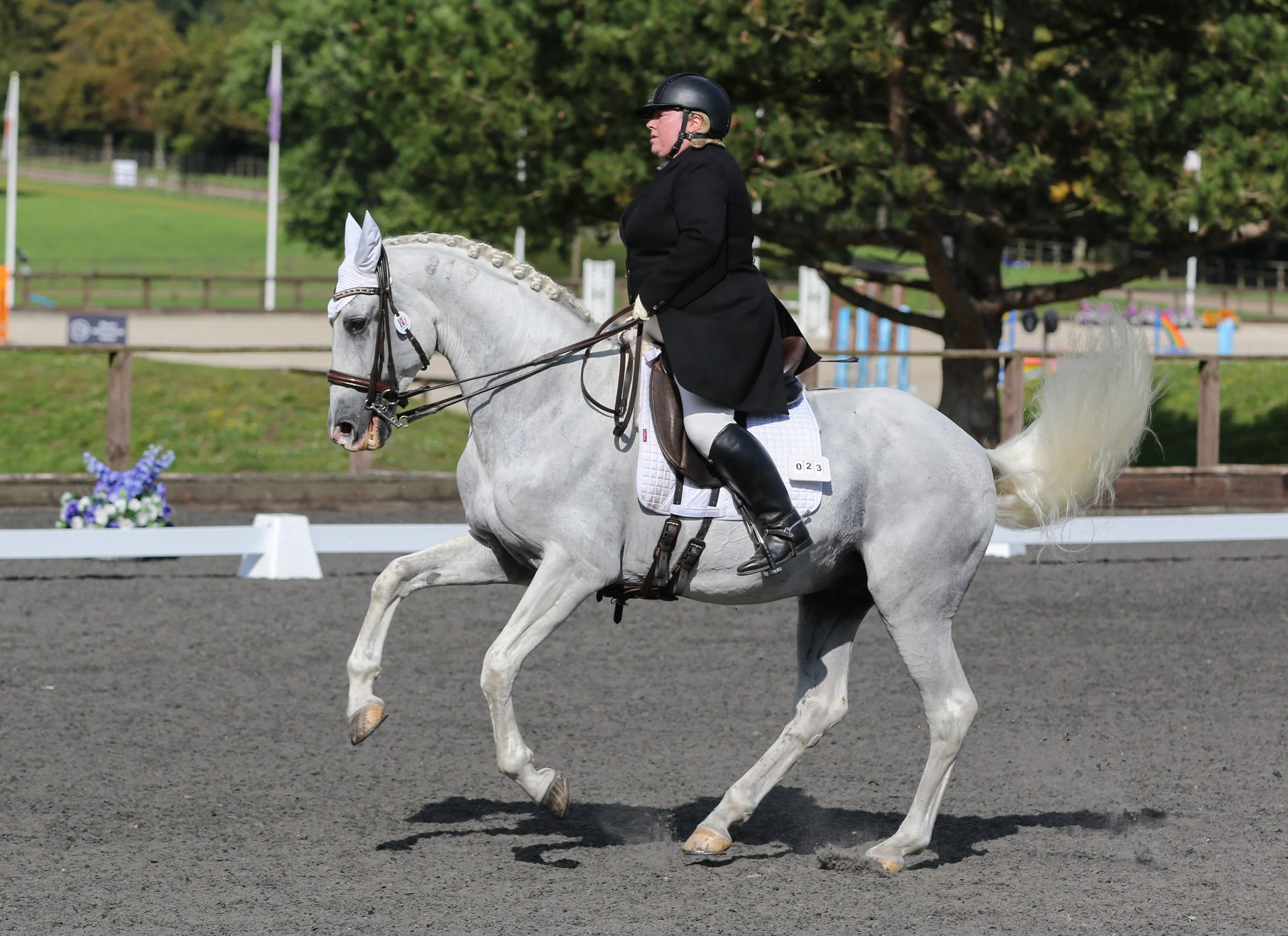 Equine Photographer Bournemouth Christchurch Poole Dorset-1167.jpg