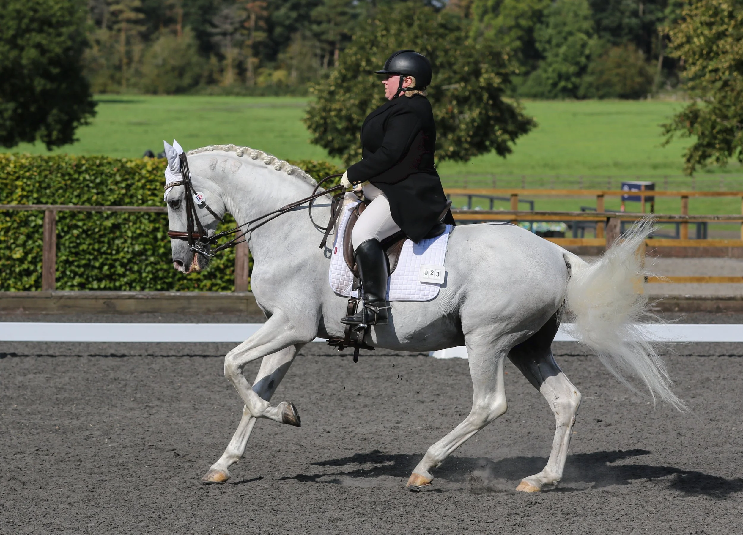 Equine Photographer Bournemouth Christchurch Poole Dorset-1171.jpg