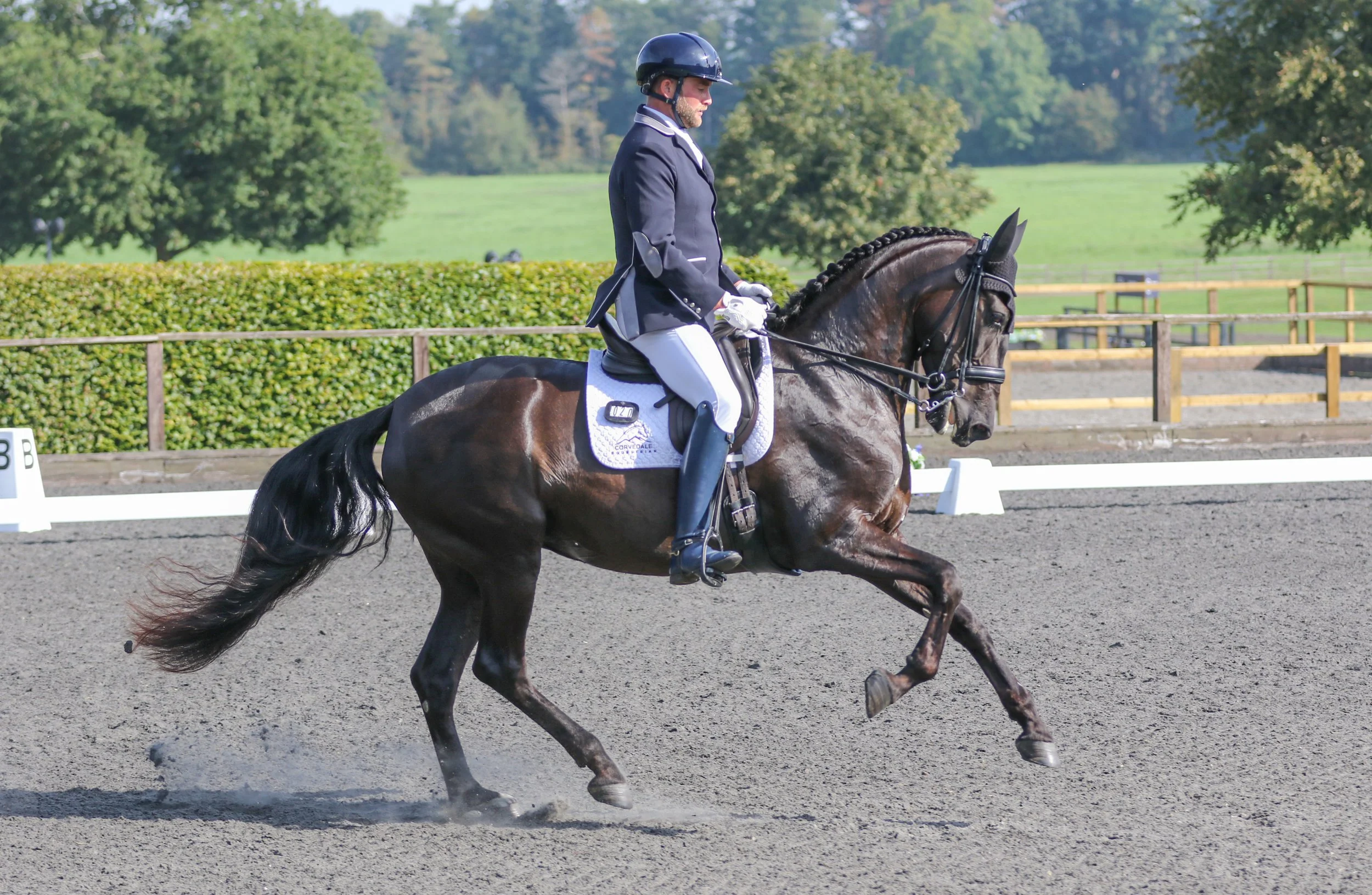 Equine Photographer Bournemouth Christchurch Poole Dorset-2463.jpg