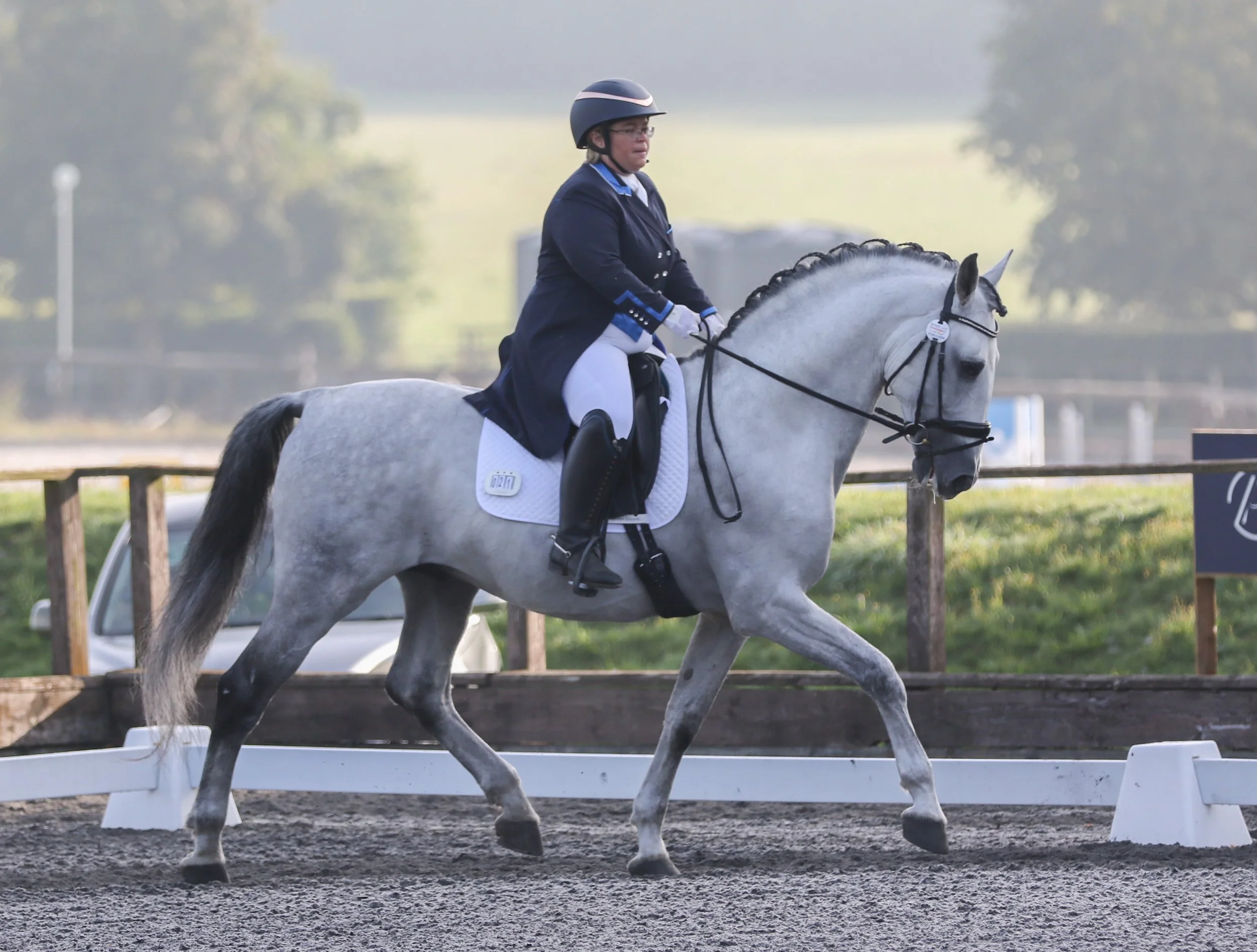 Equine Photographer Bournemouth Christchurch Poole Dorset-1339.jpg