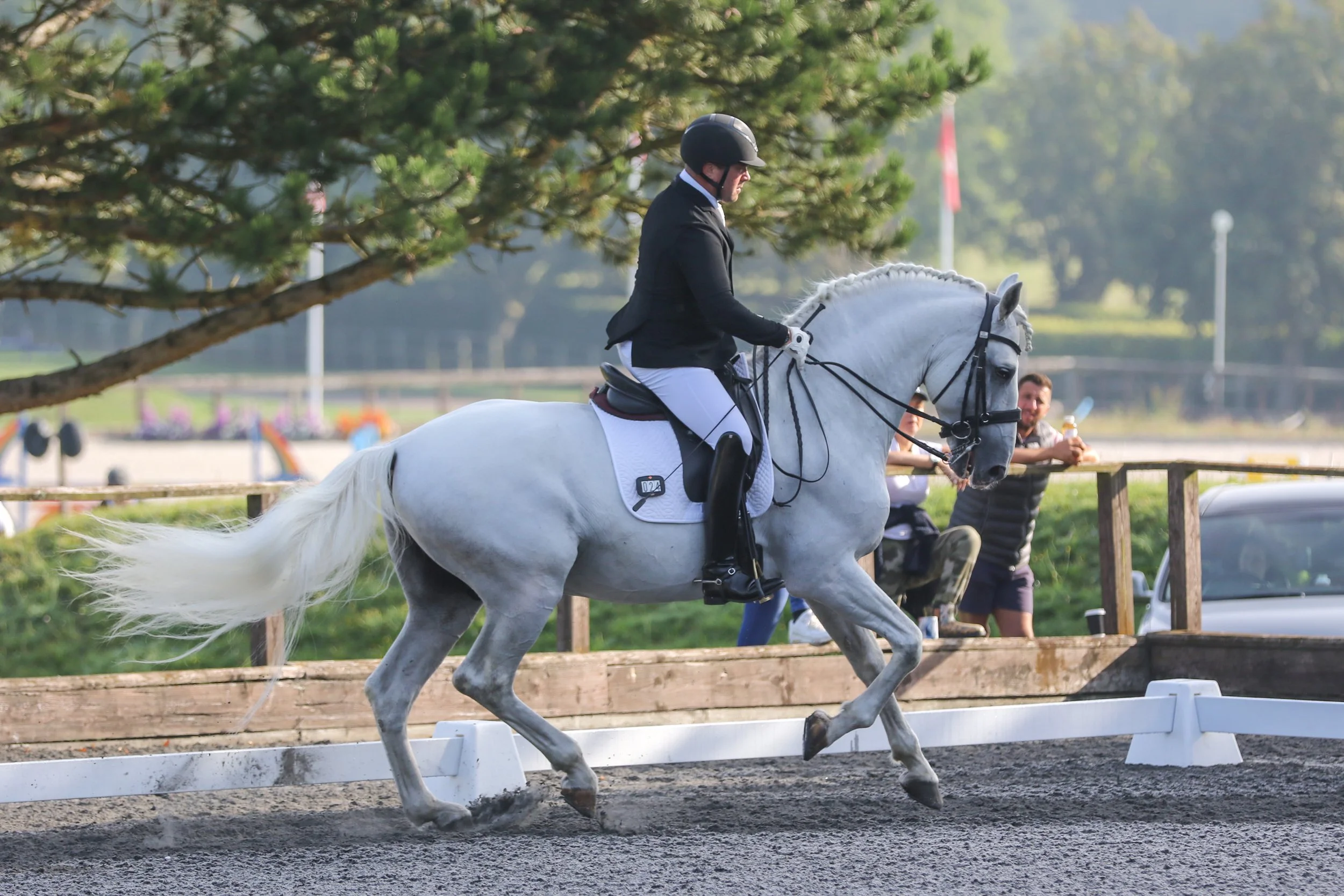 Equine Photographer Bournemouth Christchurch Poole Dorset-1670.jpg