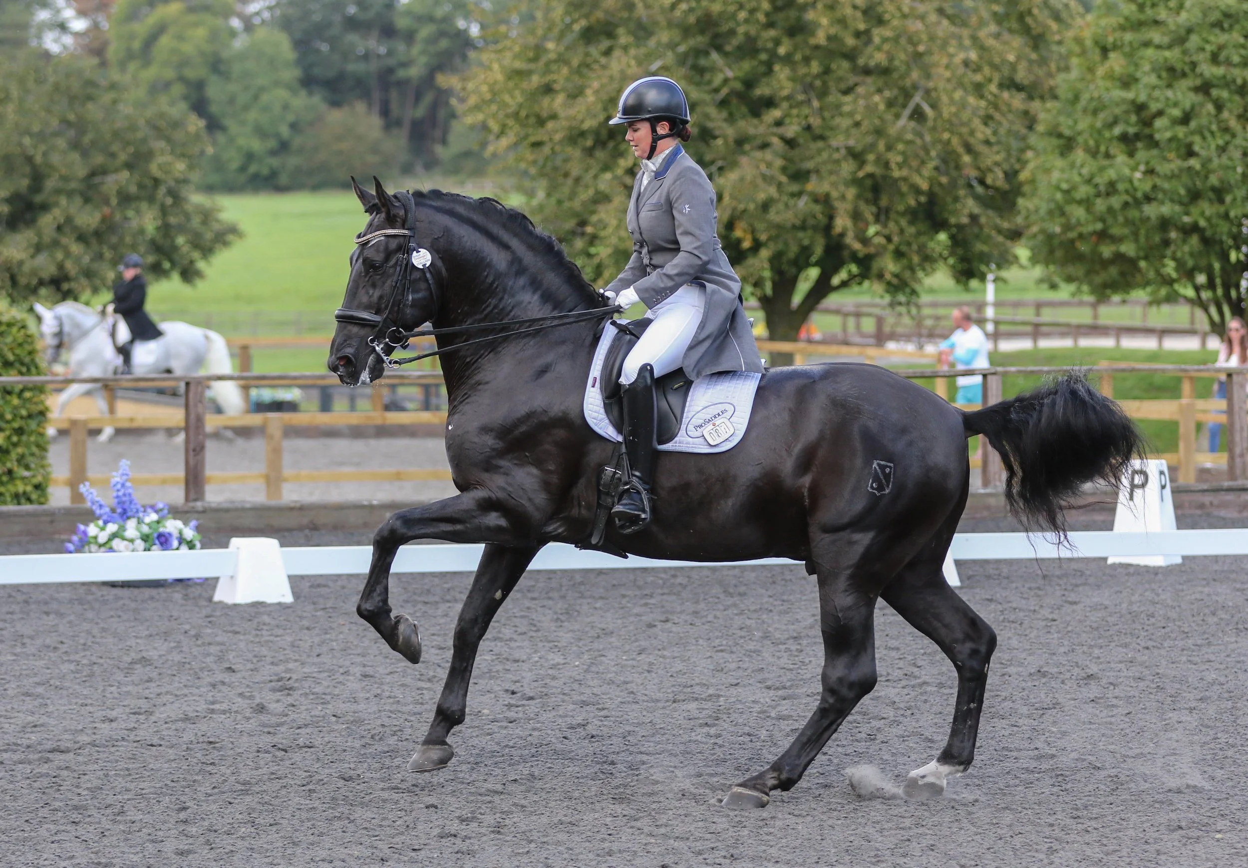 Equine Photographer Bournemouth Christchurch Poole Dorset-1002.jpg