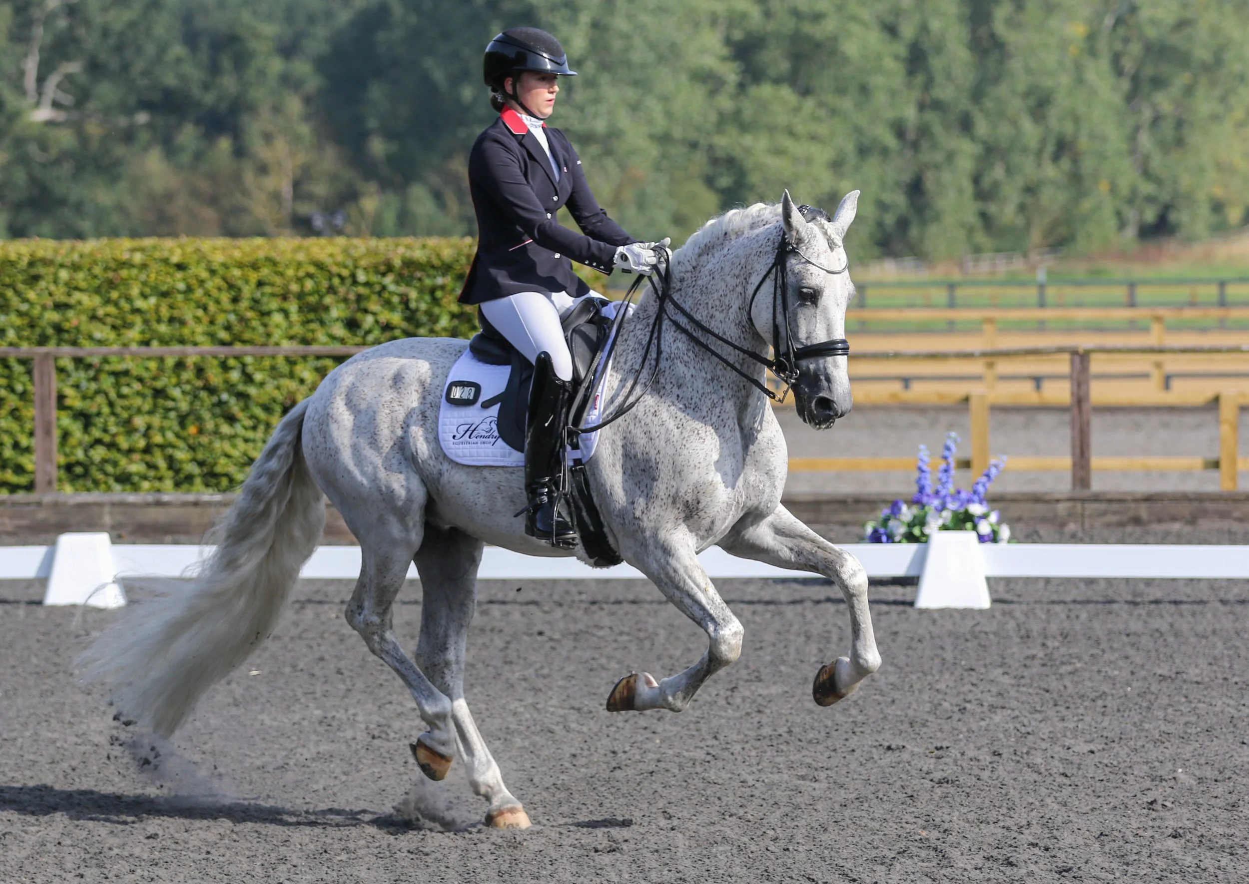 Equine Photographer Bournemouth Christchurch Poole Dorset-1903.jpg