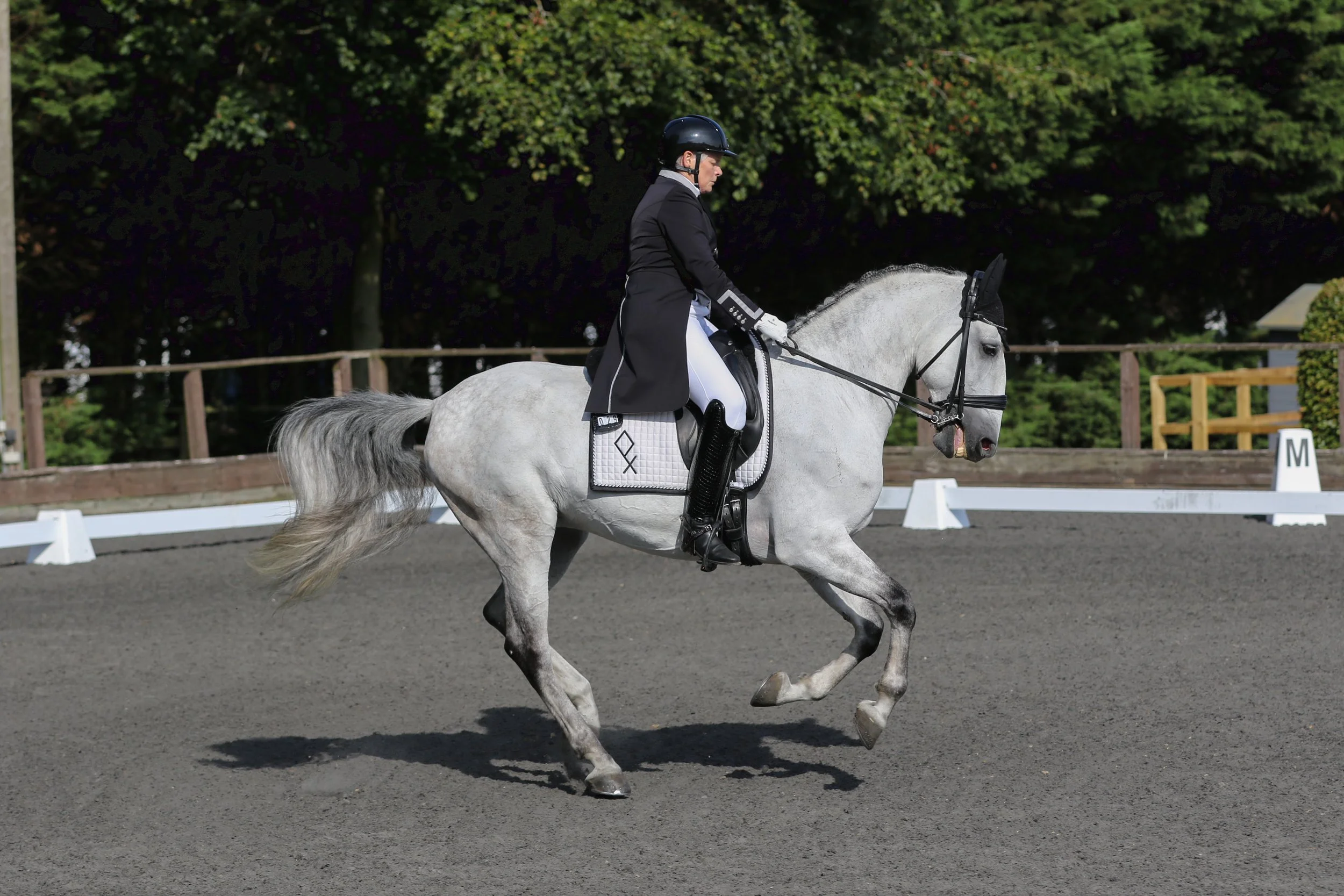 Equine Photographer Bournemouth Christchurch Poole Dorset-2598.jpg