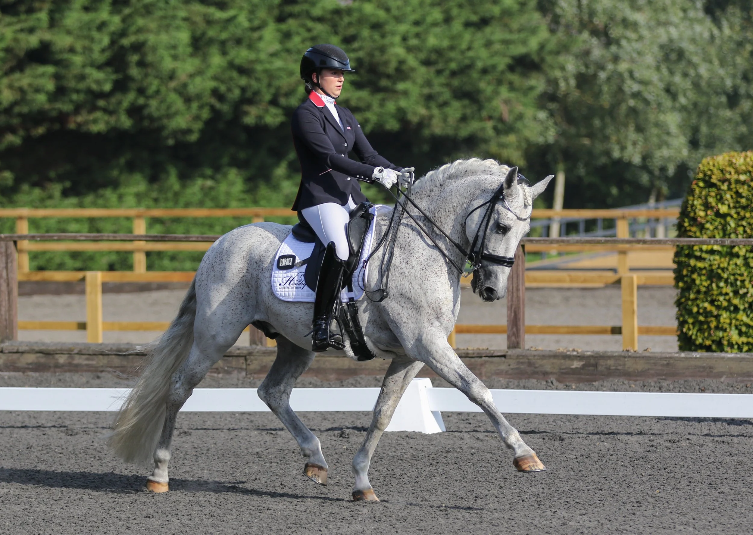 Equine Photographer Bournemouth Christchurch Poole Dorset-1790.jpg