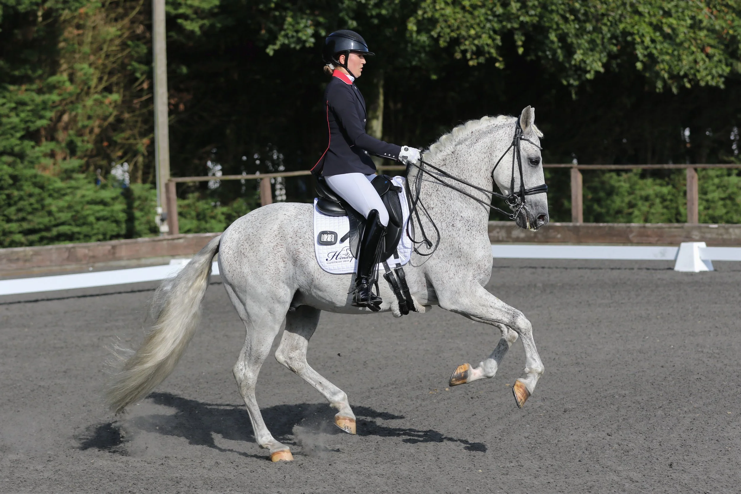 Equine Photographer Bournemouth Christchurch Poole Dorset-1851.jpg