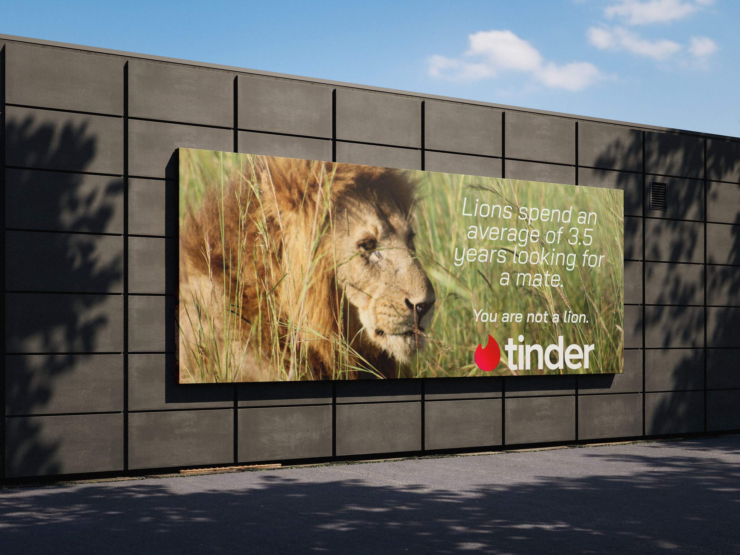 Lion(tinder)mockup 2.png