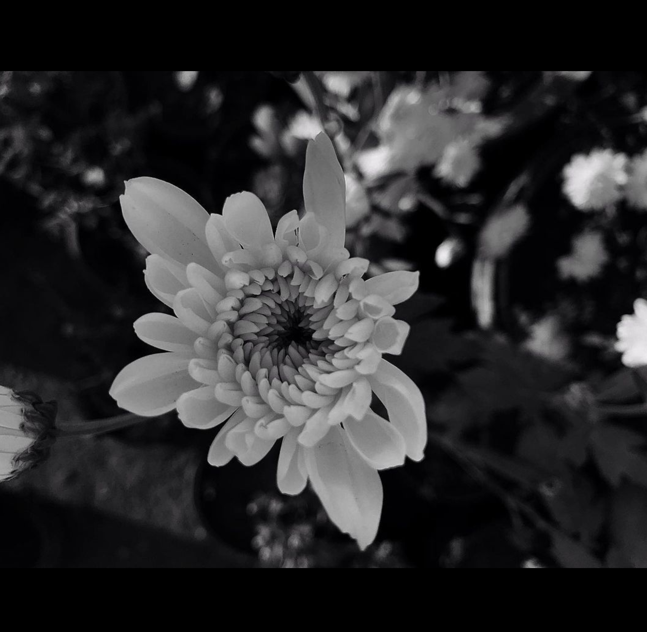 Screenshot 2023-12-10 at 2.09.16 AM.png