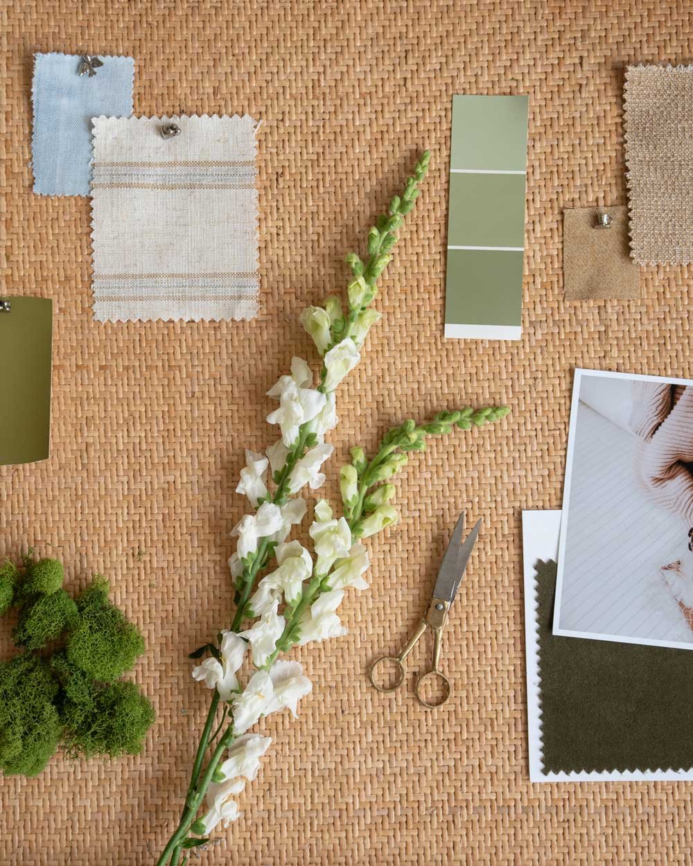 Mood board with fabric swatches, paint chips, flowers, and natural textures representing heart-centered and aligned brand and visual identity.
