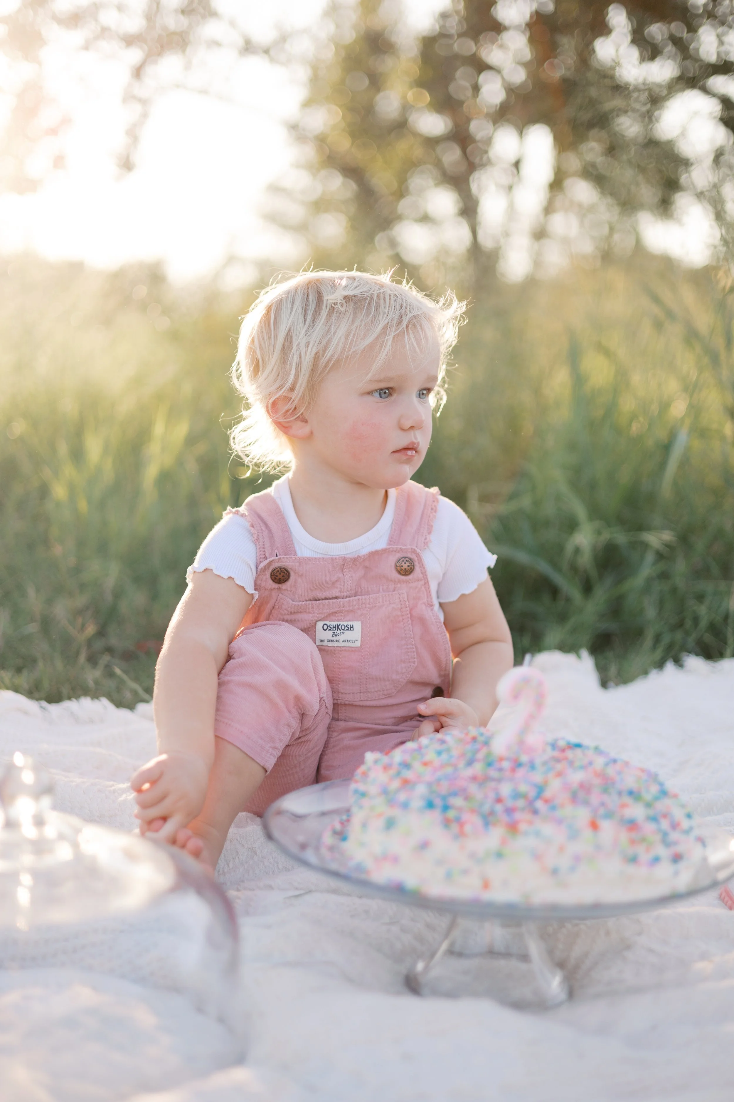 cake-0045.jpg