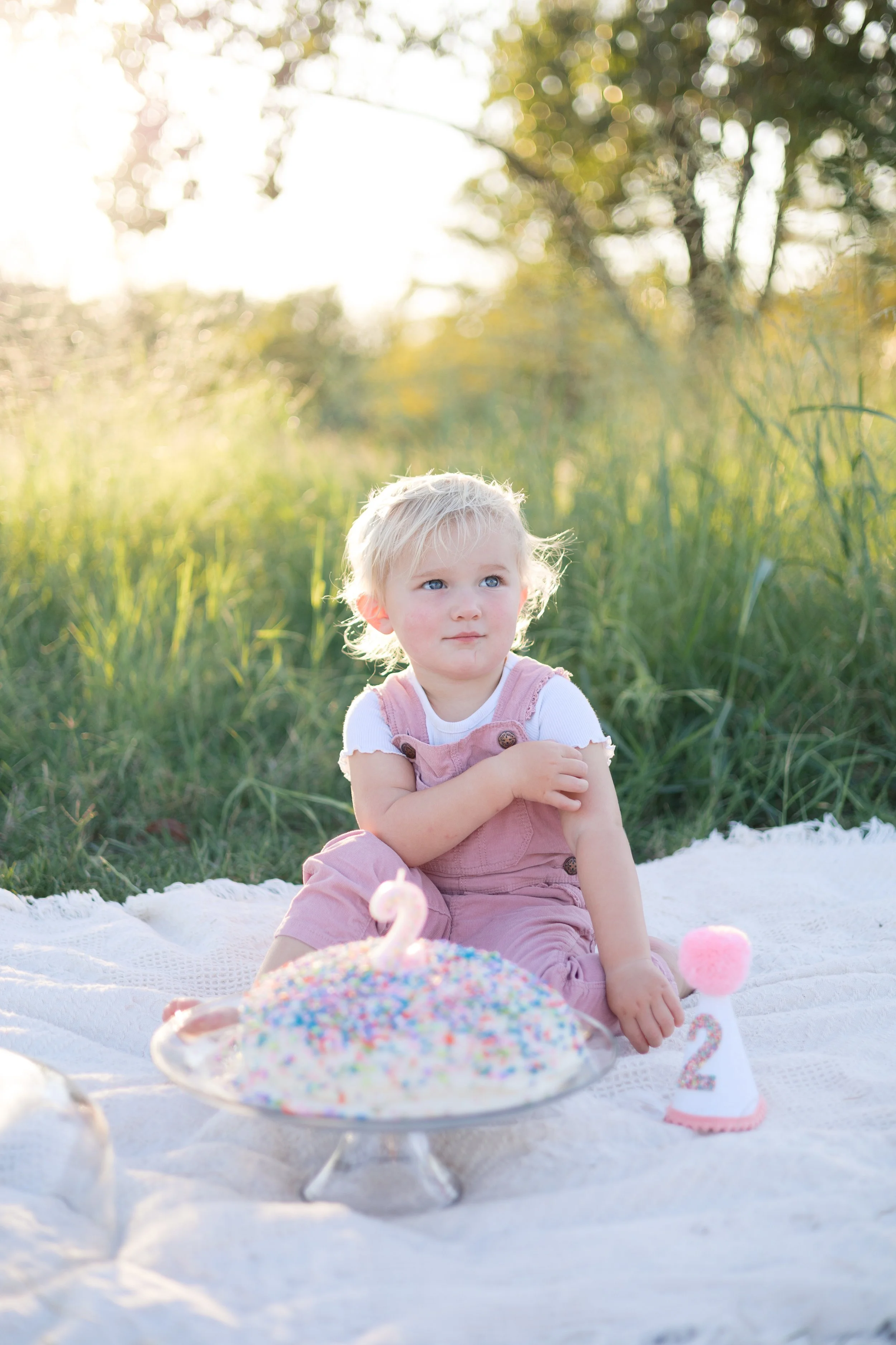 cake-0040.jpg