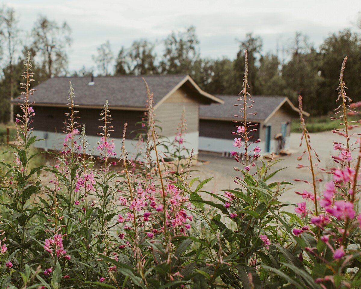 c2-fireweed.jpeg