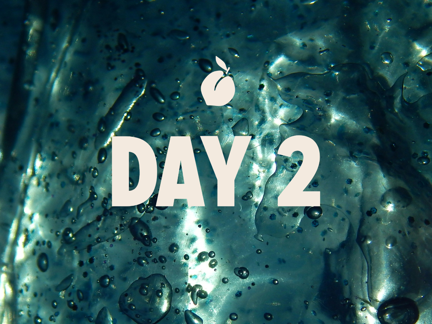 Day 2 of TheCheekyClean Lifestyle Detox Course — water filtration and intake, close-up of clean water and bubbles