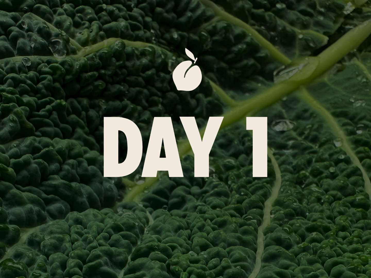 Day 1 of TheCheekyClean Lifestyle Detox Course — kitchen detox lesson, textural close-up of fresh dark kale