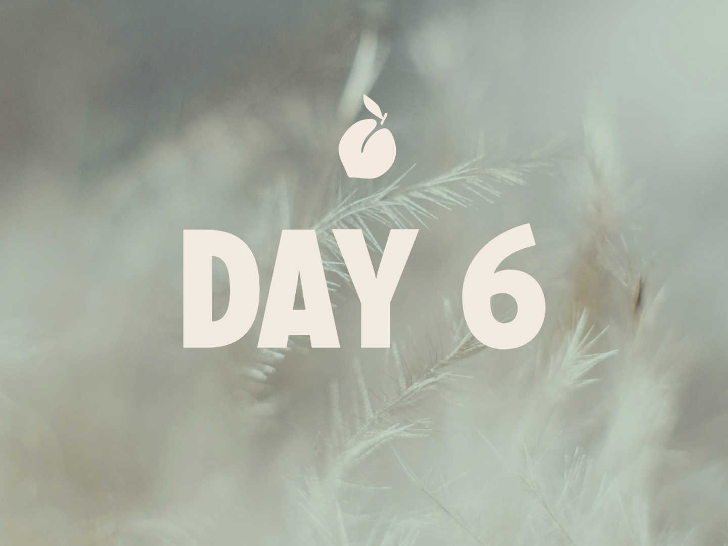 Day 6 of TheCheekyClean Lifestyle Detox Course — soul detox and emotional clearing, textural close-up of white feathers