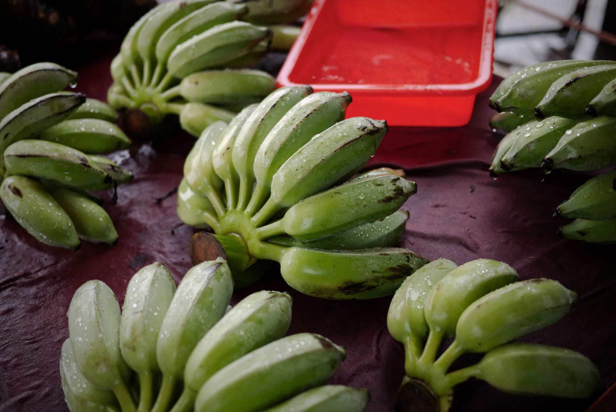 Plantain