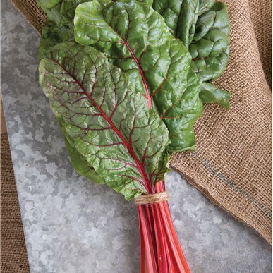 Rhubarb+Chard.jpg