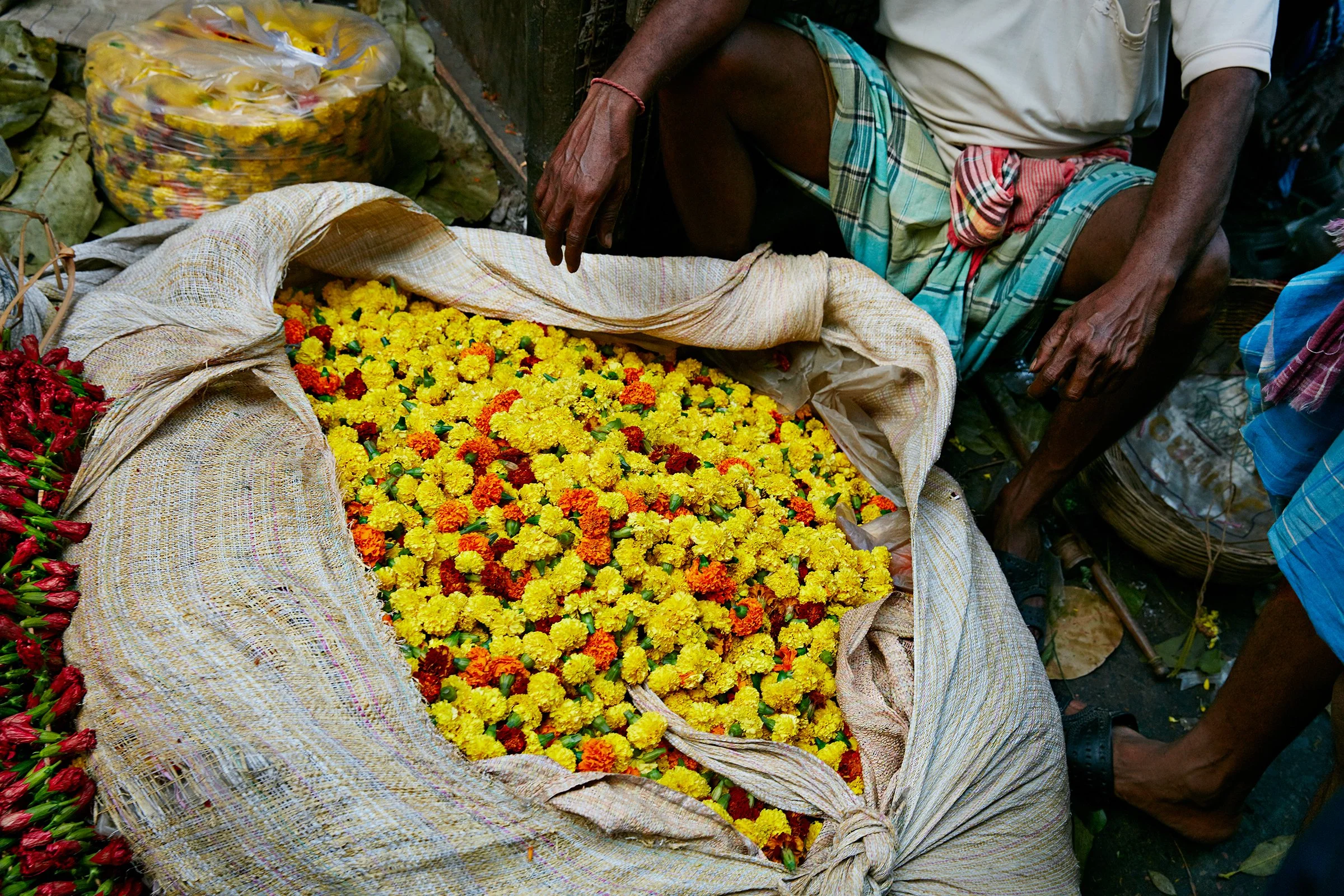 India_09_09276.jpg