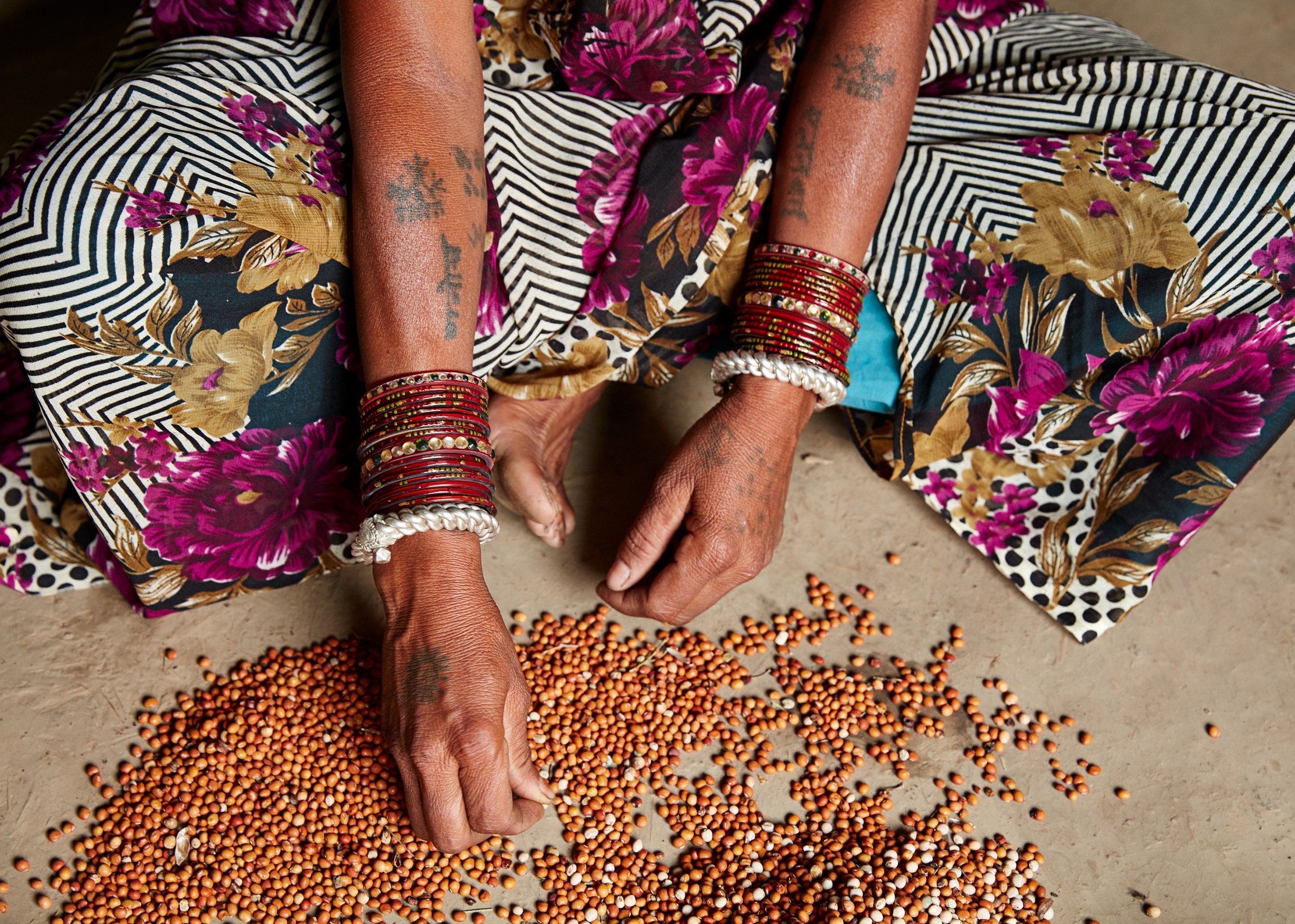 Antola-India_02_01762-2023.jpg