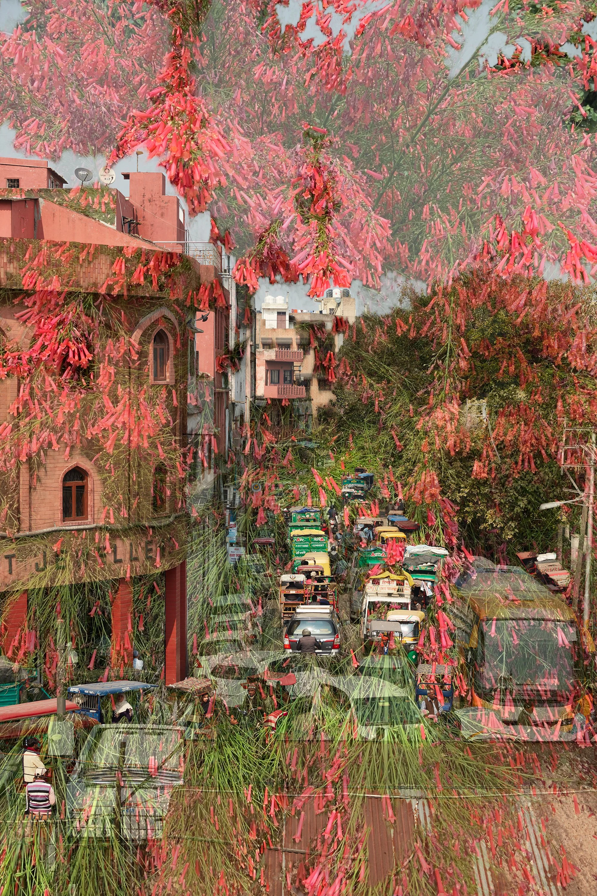 Antola-Delhi1_J1A8849-2020.jpg
