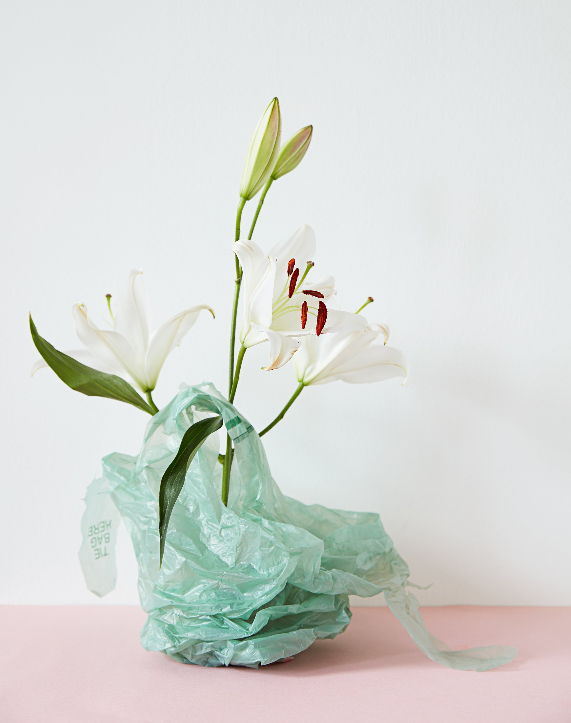 Antola-Bodega_Bouquets_4-2018689-2020-cropped.jpg