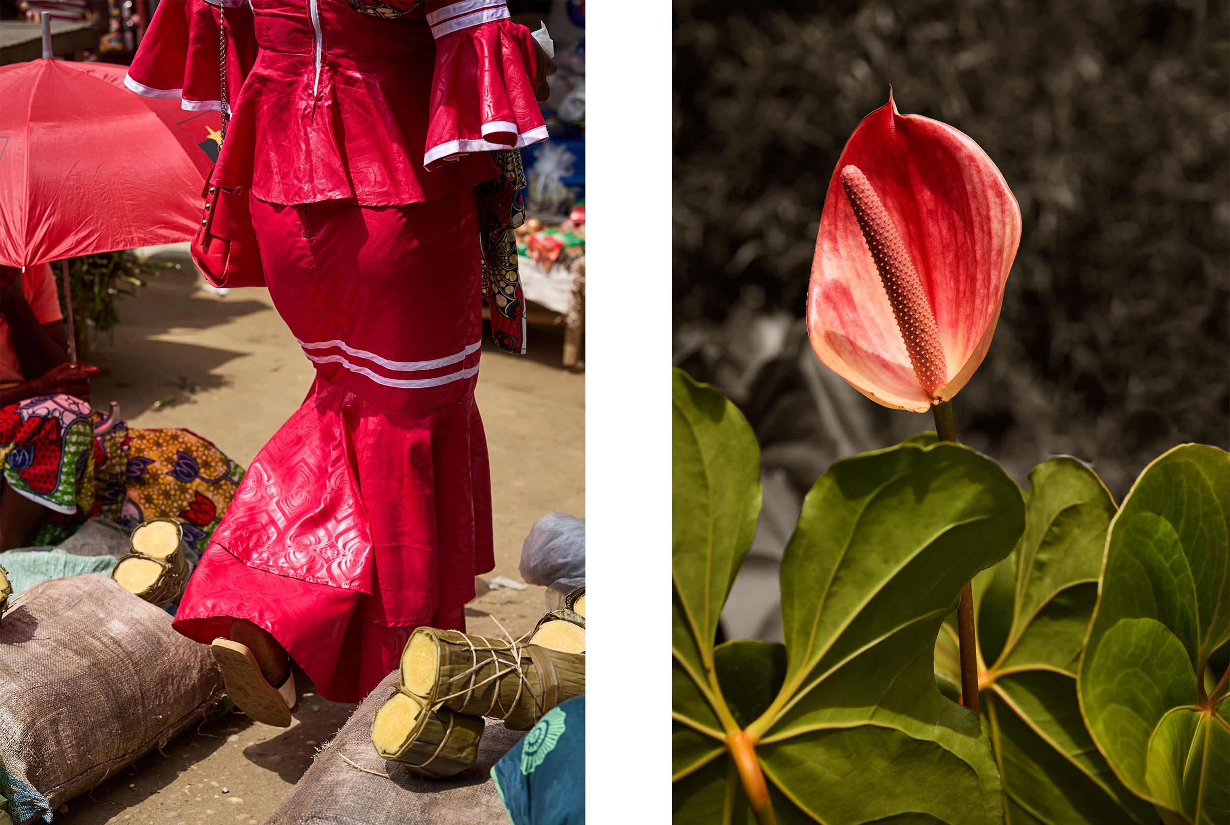 Africa-10-AngolaMarket-Flower.png