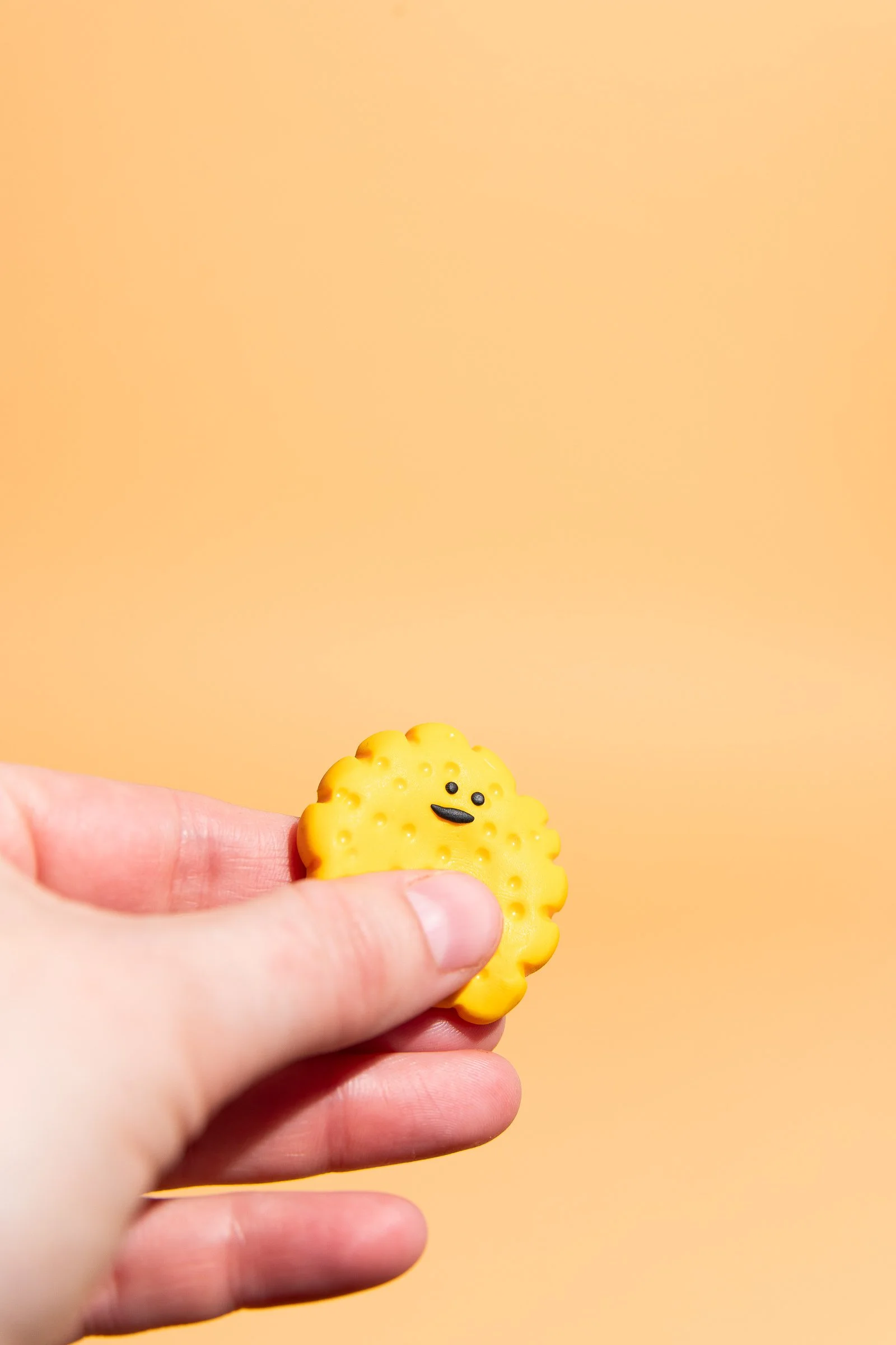 Käse Fidget Toy mit Gesicht – spielerischer Stressabbau für Autismus