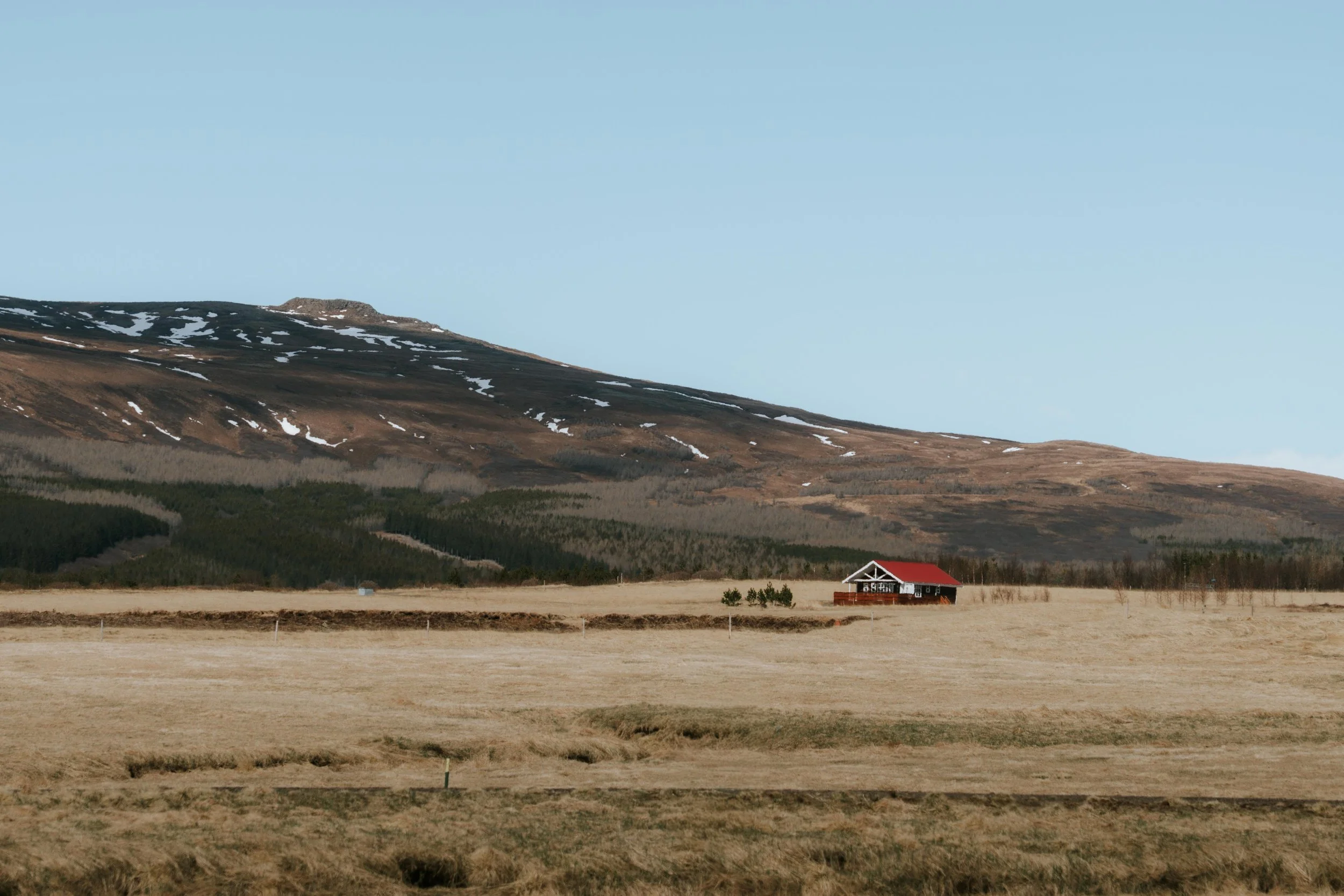 7RV05459.jpg
