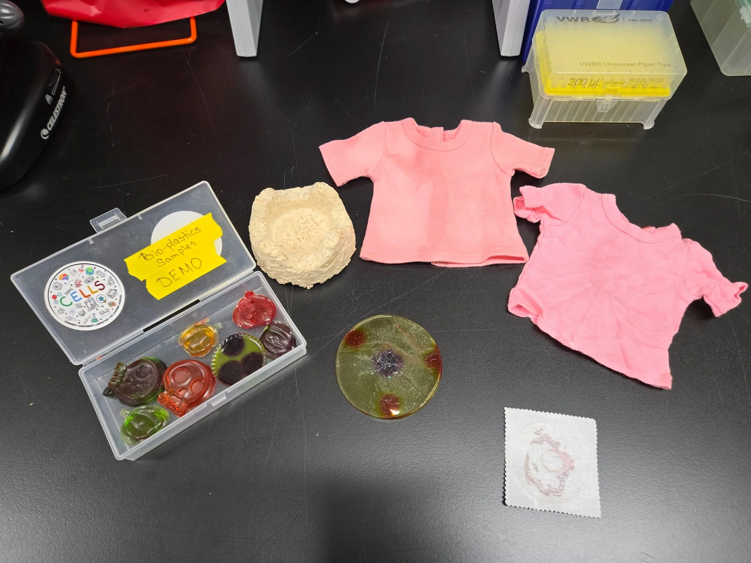 BioMaterials and BioArt