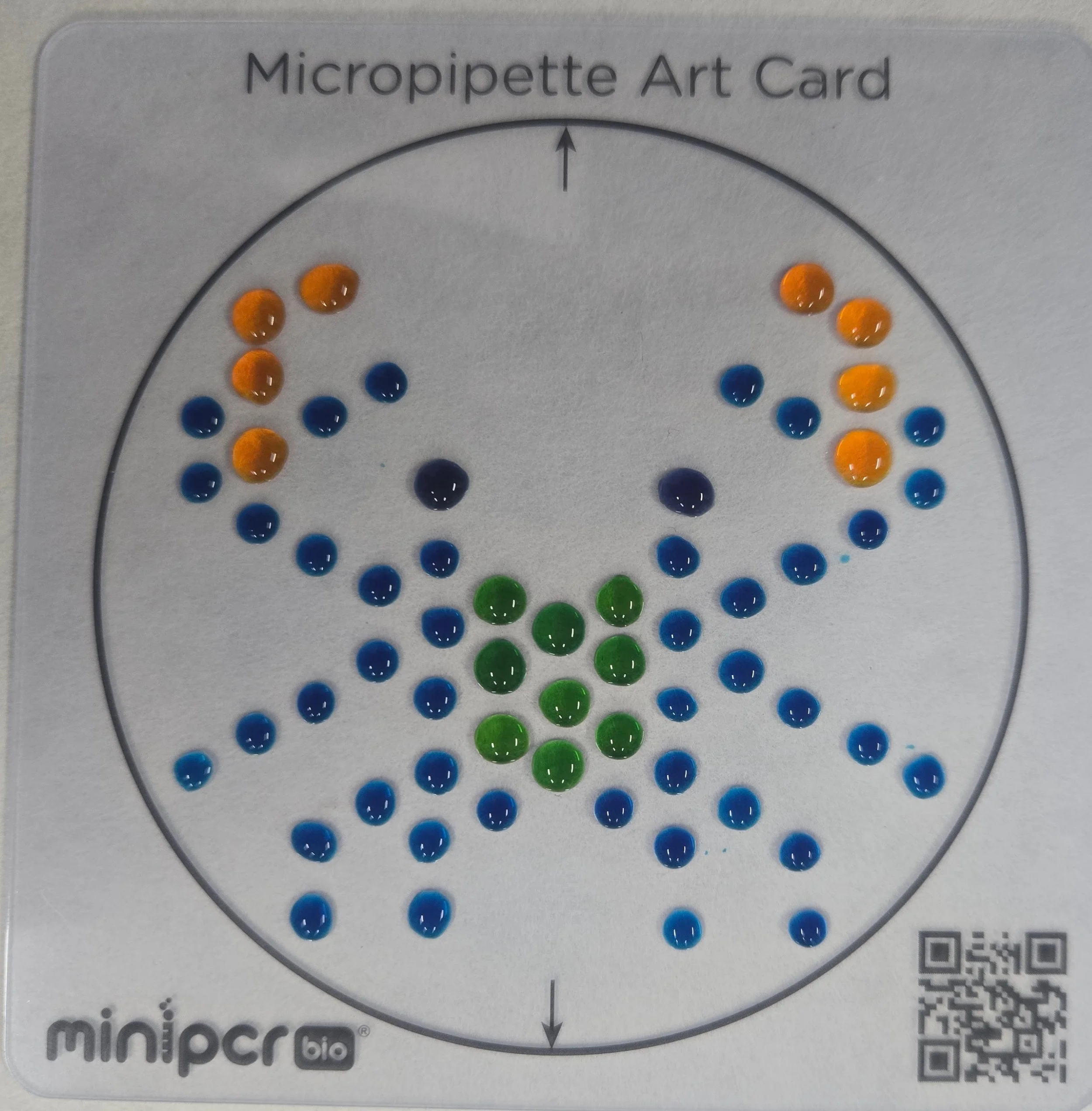 Student Micropipetting Art 2025
