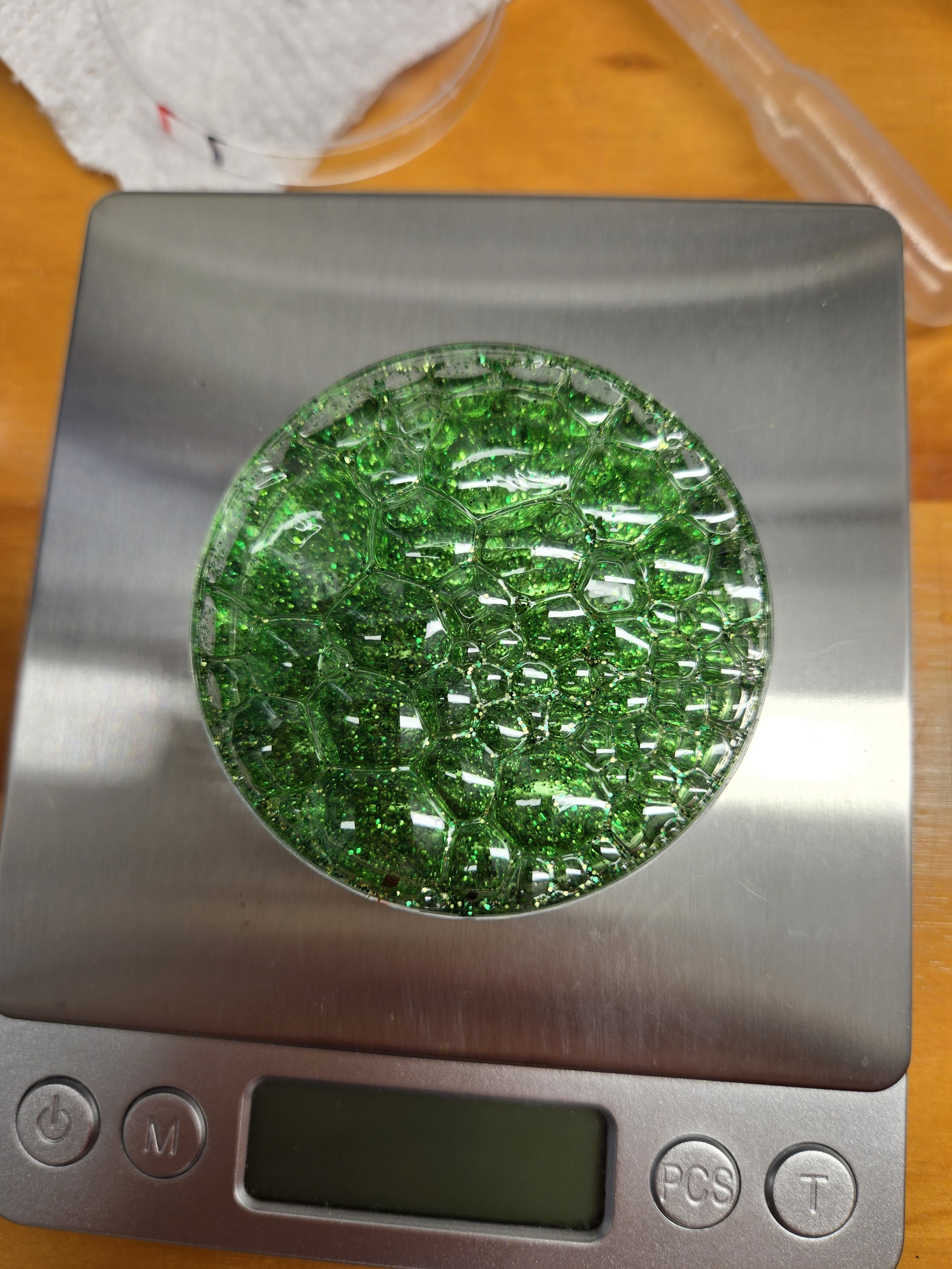 Student BioPlastic 2024