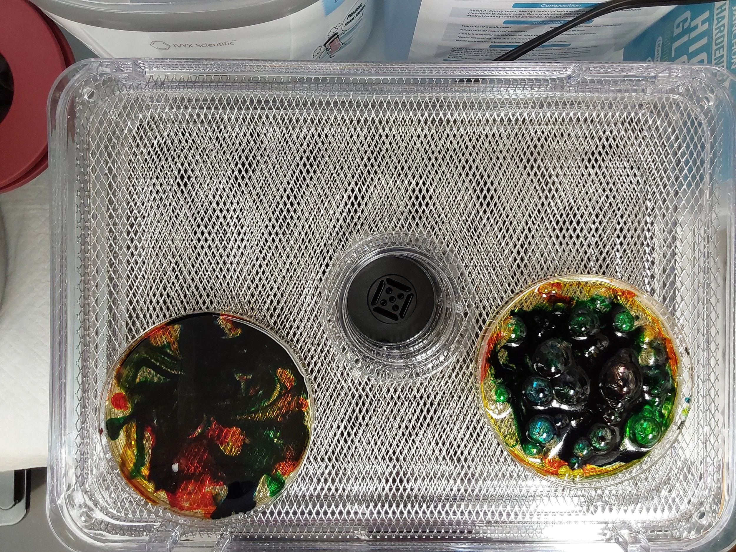 Student BioPlastics 2024