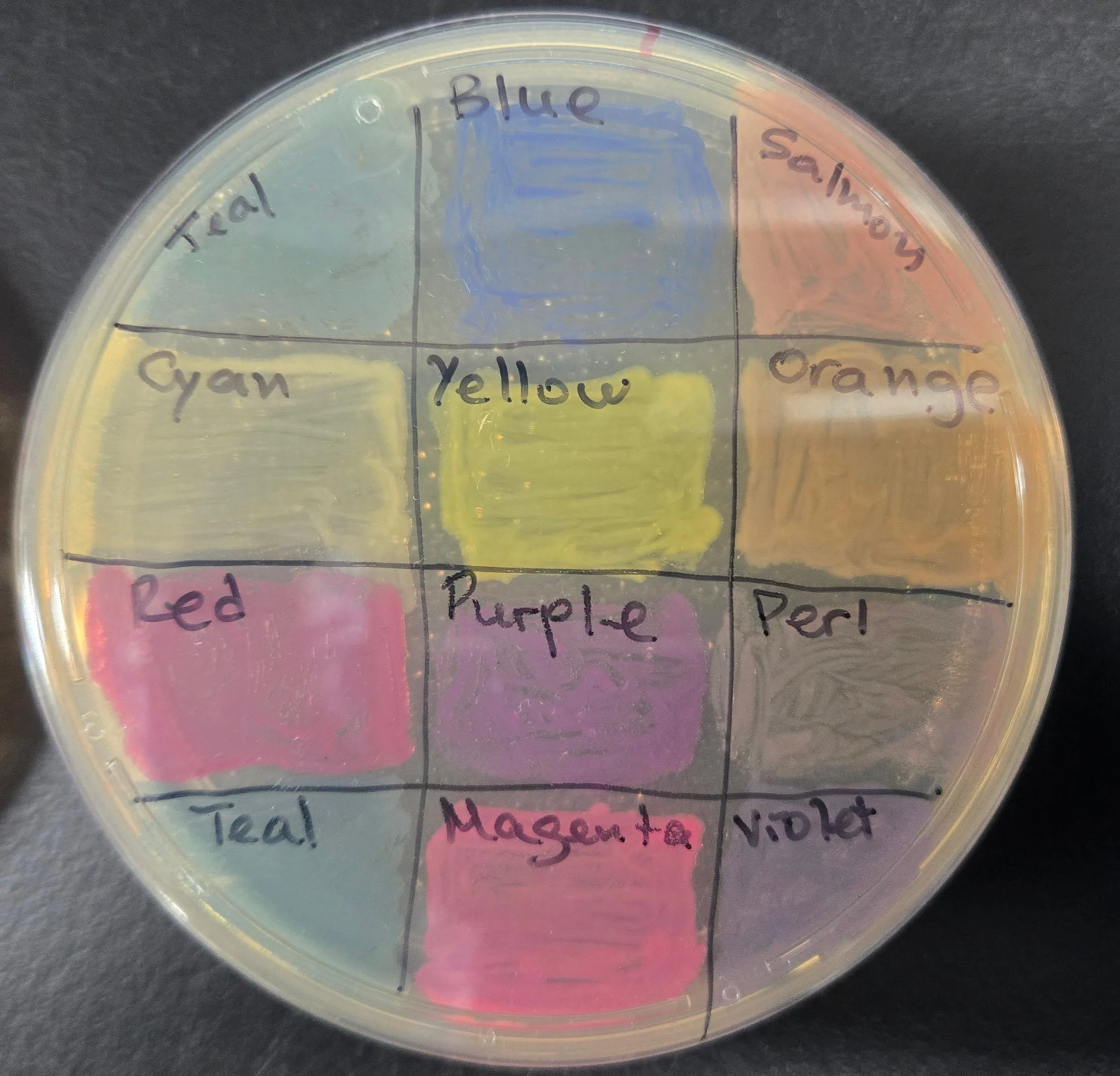 Engineered Bacteria Coloring Palette