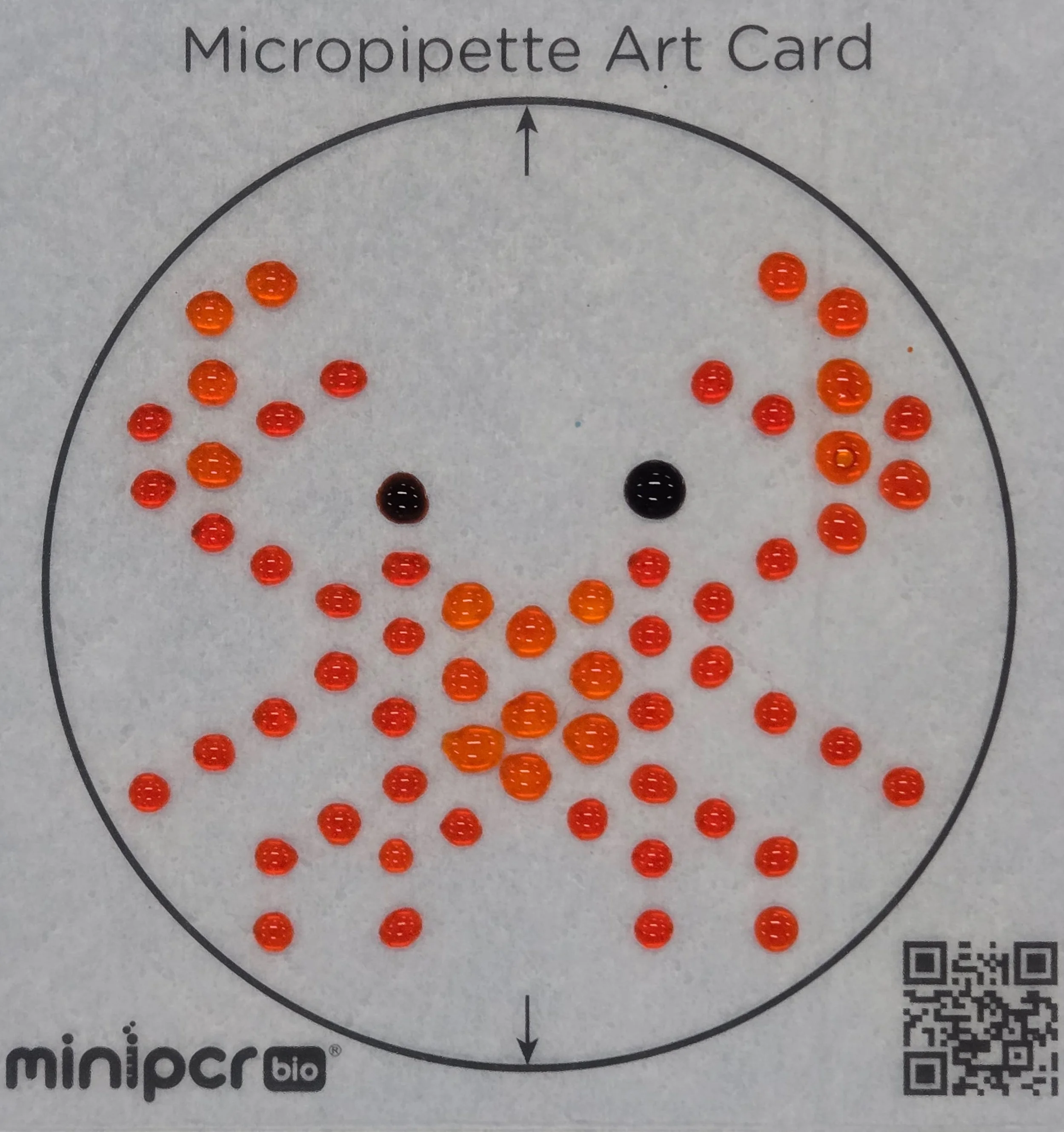 Micropipetting Art 2025