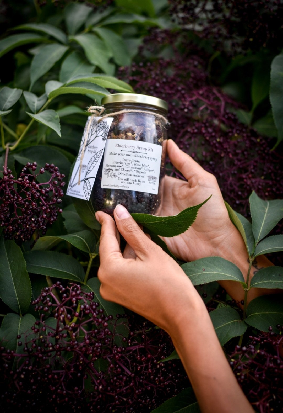 Elderberry Syrup Kit