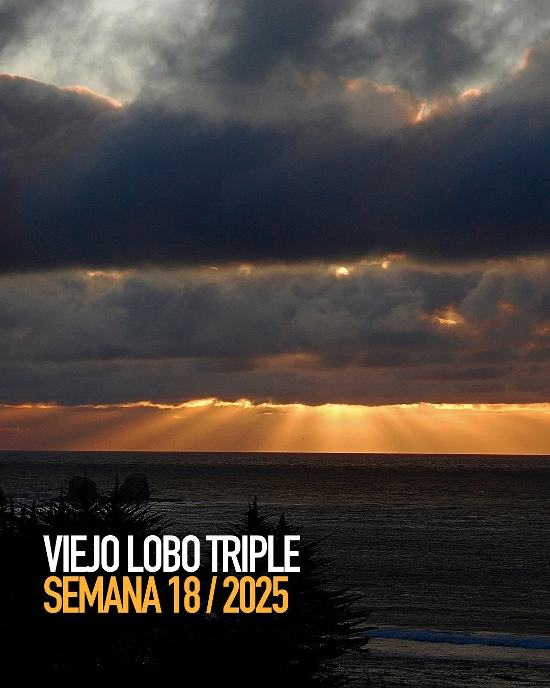 Nuestra #ViejoLoboTriple #Semana18 ferment&oacute; libremente entre atardeceres inolvidables, ac&aacute; su historia 🌅 👆

ℹ️ Viejo Lobo Triple: Como es tradici&oacute;n, la Triple es una evoluci&oacute;n de la receta original, pero m&aacute;s fuert