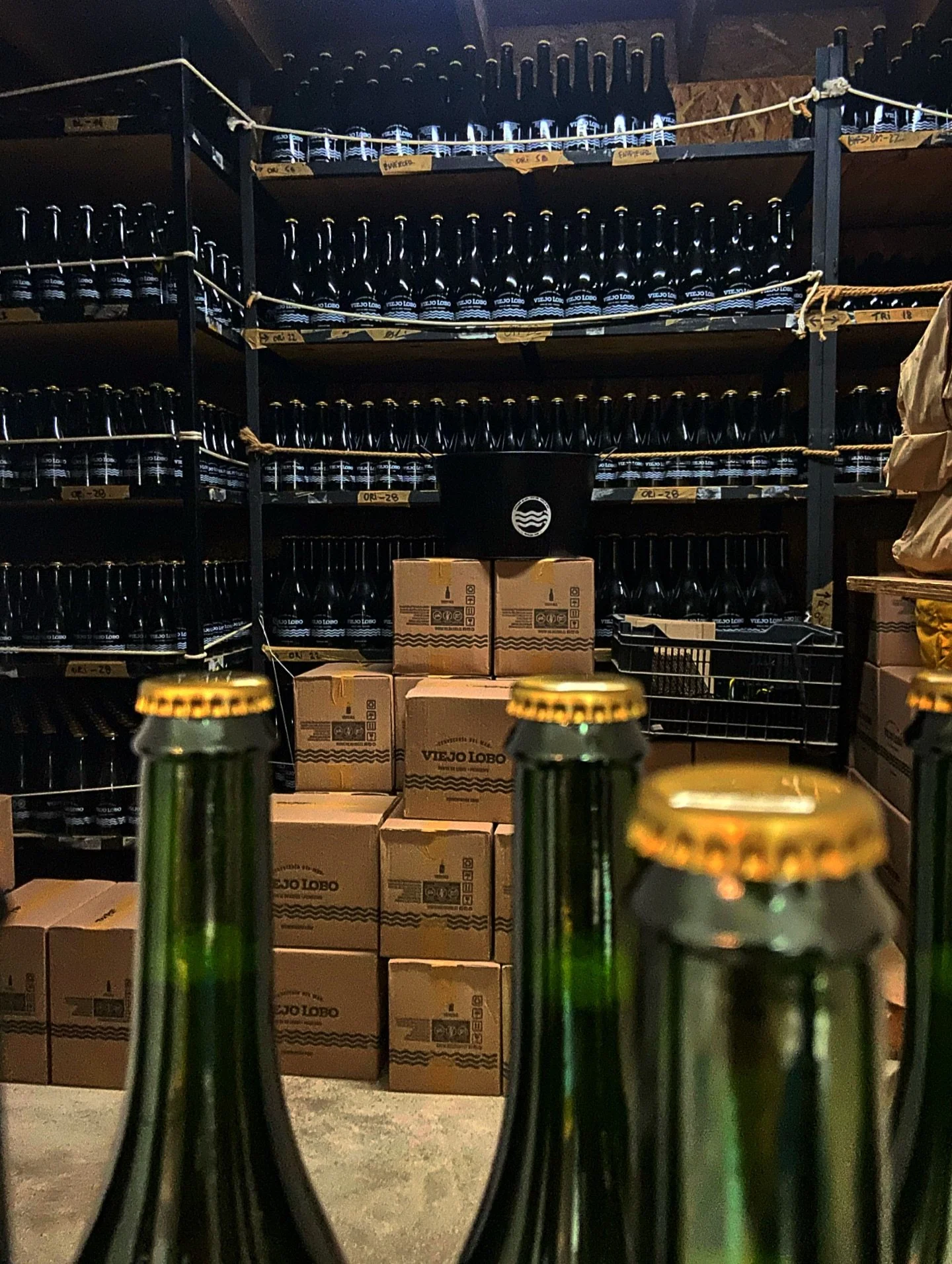 En la penumbra de nuestra bodega, las cervezas Viejo Lobo reposan con paciencia, carg&aacute;ndose de car&aacute;cter y sabor 🙌🍻

 #ViejoLobo #CervezaArtesanalPremium #FiestasPatrias🇨🇱 #PuntaDeLobos #Pichilemu #SentirElLegado