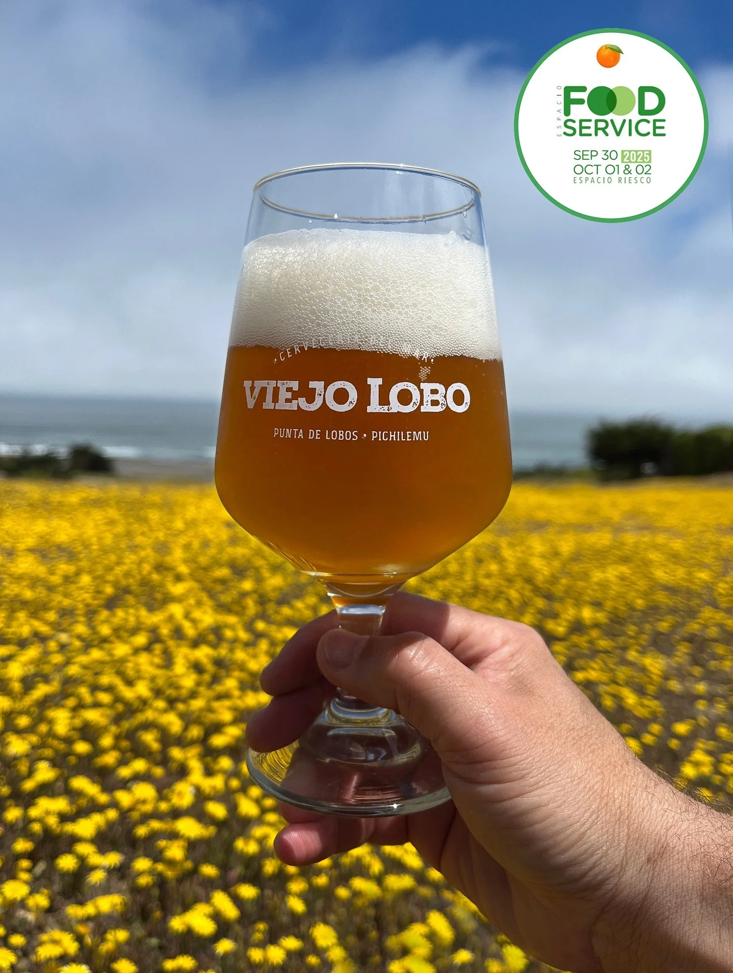 &iexcl;Nos vamos a Espacio Food &amp; Service 2025! 🚀

La feria m&aacute;s importante de la industria alimentaria en Latinoam&eacute;rica recibir&aacute; a Cervecer&iacute;a del Mar &middot; Viejo Lobo este 30 de septiembre, 1 y 2 de octubre en Espa
