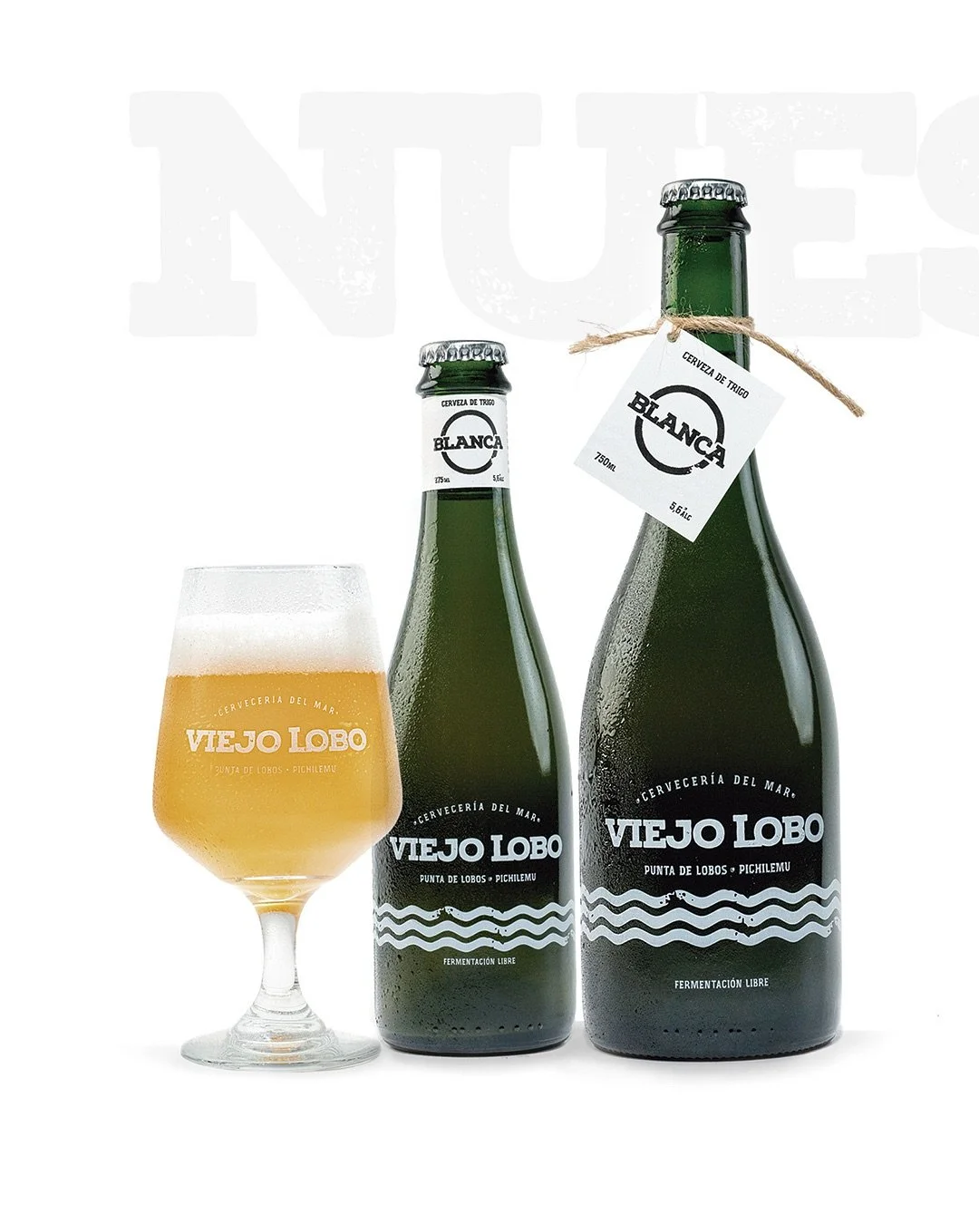 NUESTRO ADN 🤜🤛

Cada una de nuestras variedades nace de un principio en com&uacute;n: se fermenta de manera libre con las mismas levaduras y se condiciona en botella, siguiendo un proceso que respeta el tiempo buscando perpetuar el legado m&aacute;