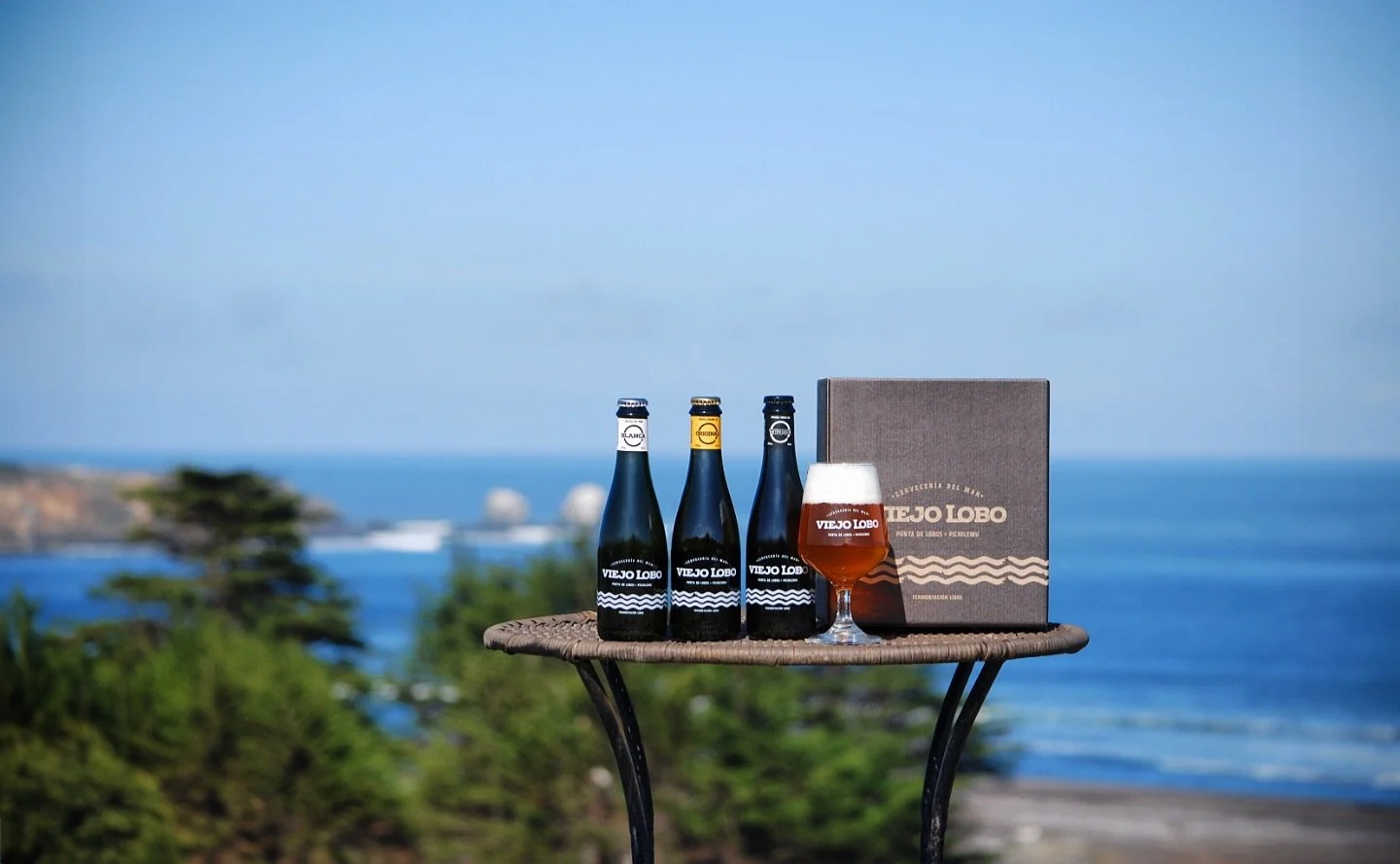ORIGEN, PASI&Oacute;N Y LEGADO 🌊 🍻

Cuando compras o regalas Cerveza Viejo Lobo, est&aacute;s compartiendo mucho m&aacute;s que una cerveza.
Es el viento salado, los atardeceres infinitos, las olas rompiendo y las historias entre amigos planificand