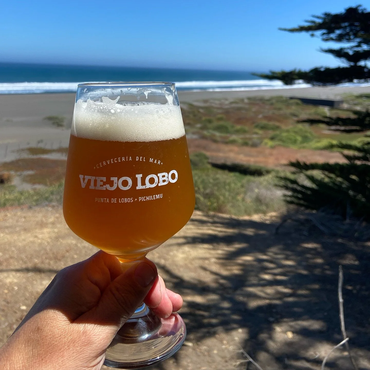 Buen viernes! 🌊🌿🍻