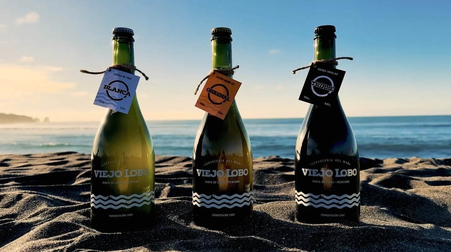 Construir desde regiones tiene un significado distinto.

Es crear desde un territorio, con todo lo que eso significa.

En Cervecer&iacute;a del Mar &middot; Viejo Lobo, crear cerveza desde Punta de Lobos, Pichilemu, no es casualidad: es origen, ident