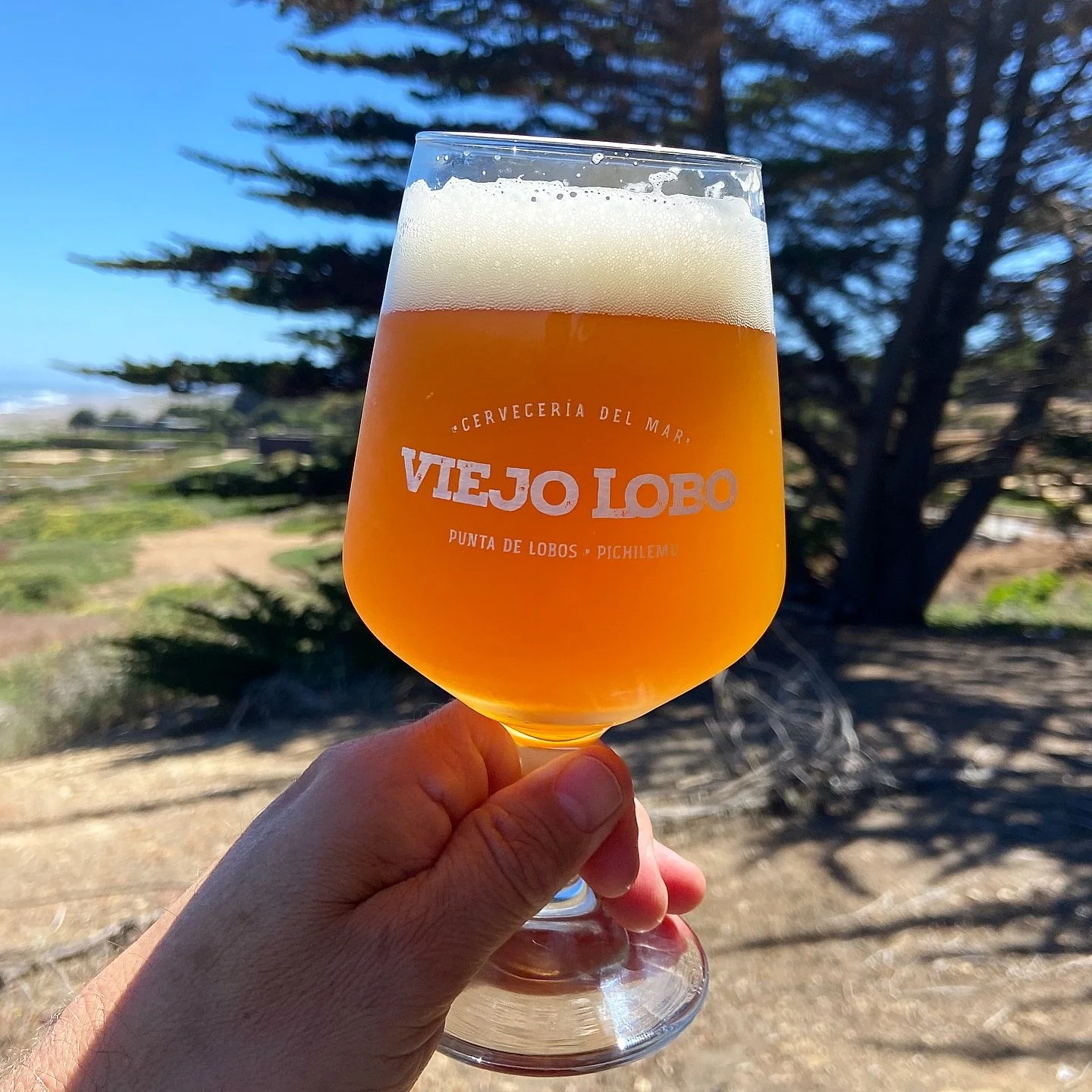 Siempre es un buen momento para una Viejo Lobo🍻🌊

#CerveceriaDelMar #ViejoLobo #CervezaArtesanalPremium #PuntaDeLobos