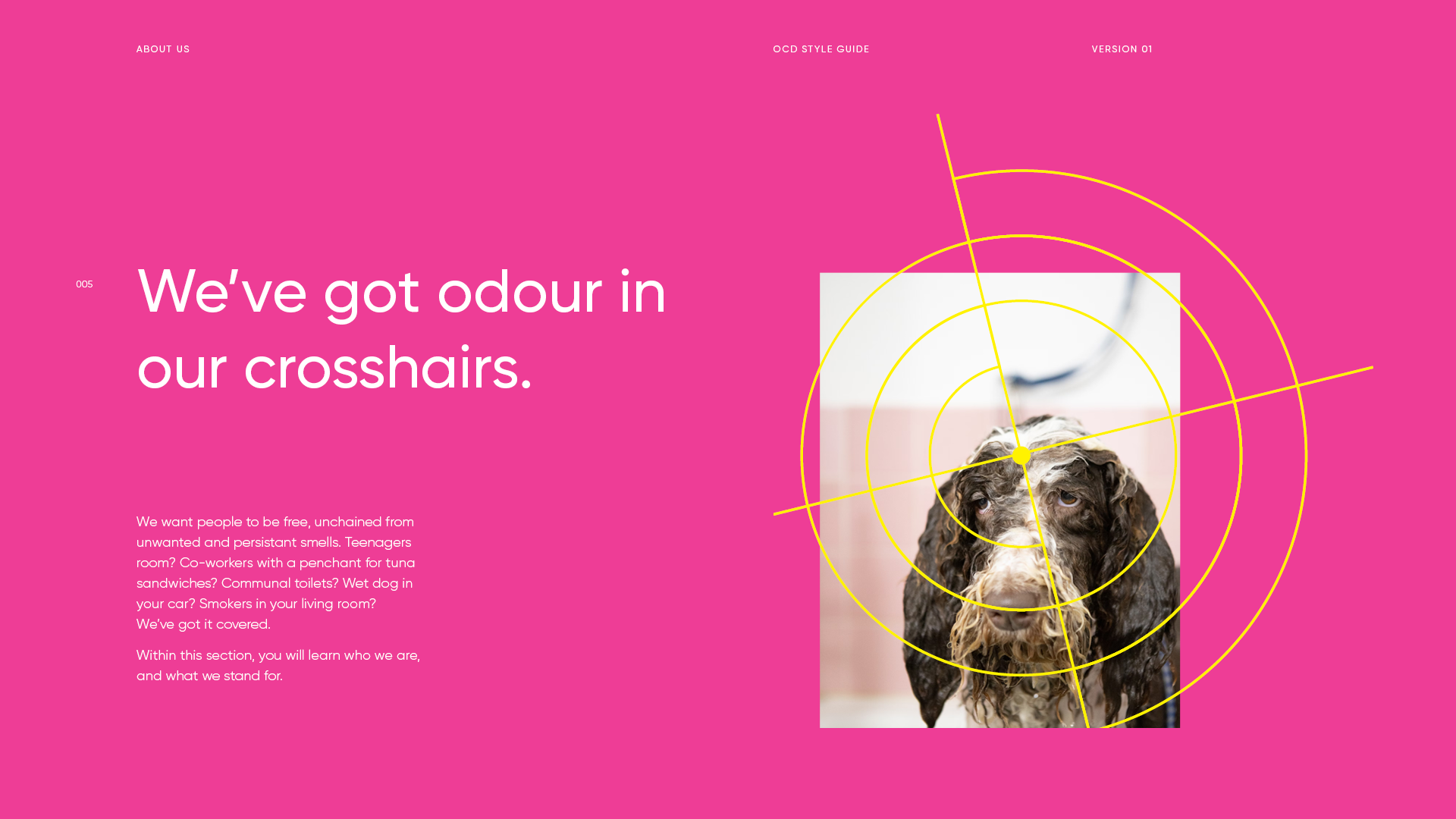 Pink webpage with text 'We've got odour in our crosshairs' and a photo of a wet dog with yellow crosshair lines over it.
