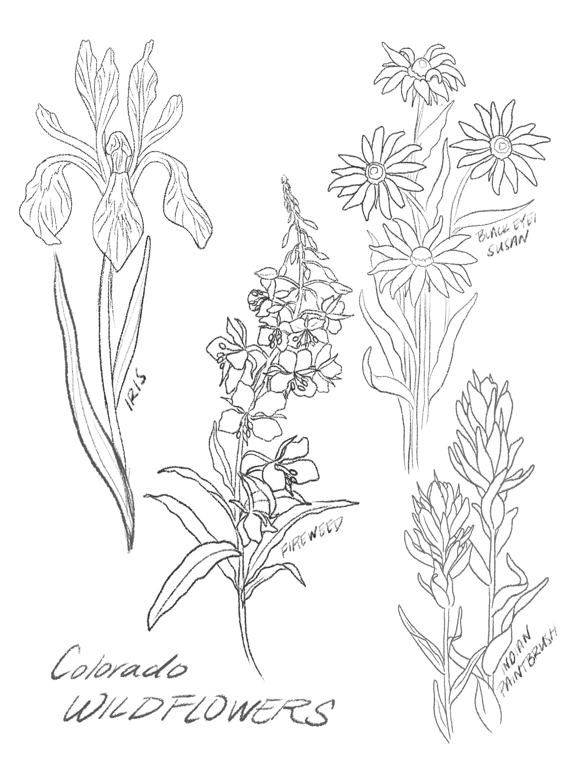 Tattoo Flash Drop Summer 2026