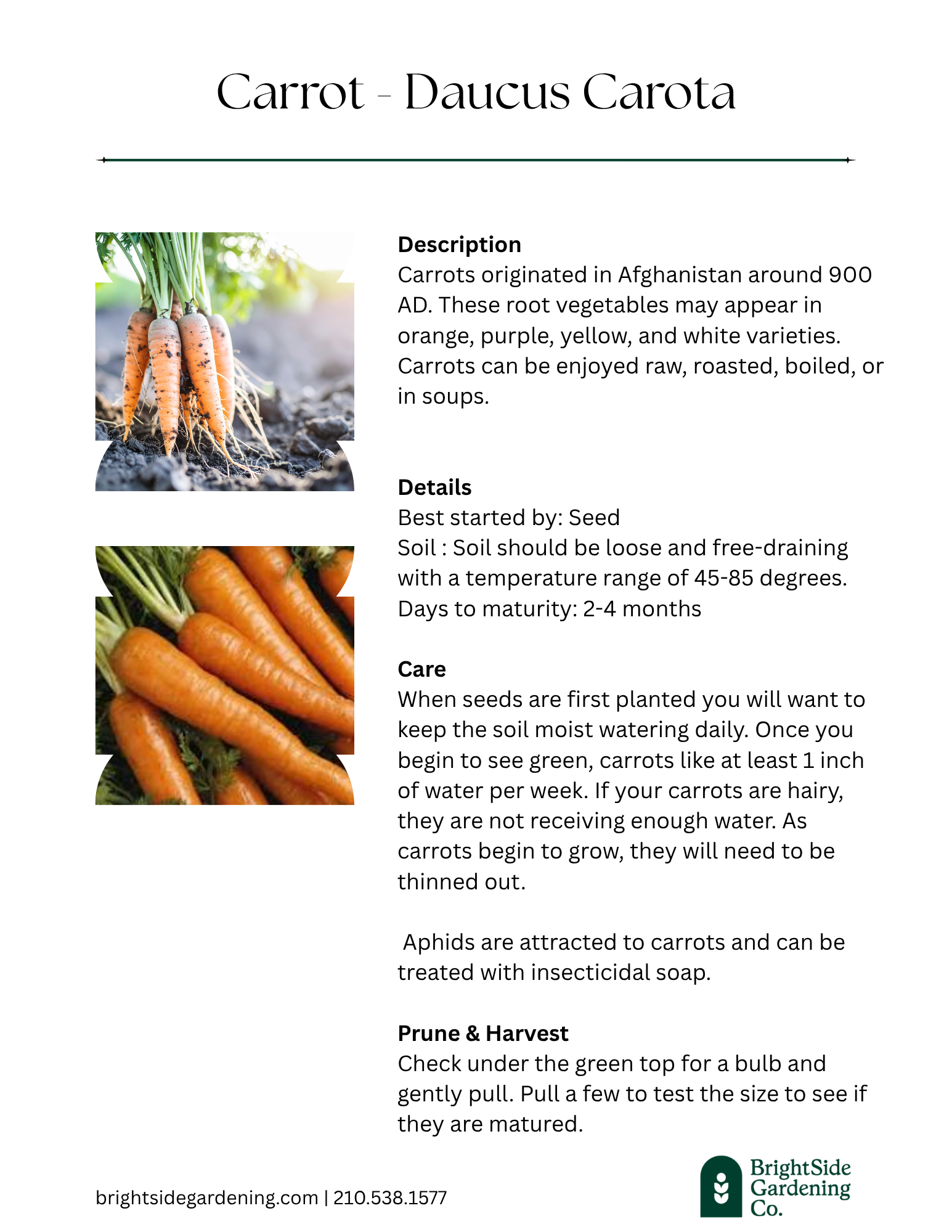 Cool - Carrots.png