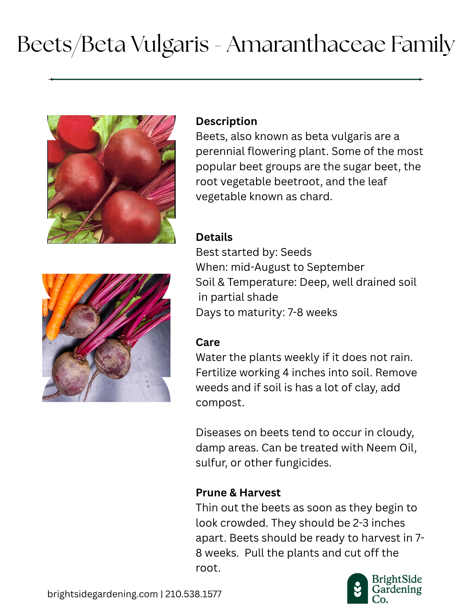 Cool - Beets.png