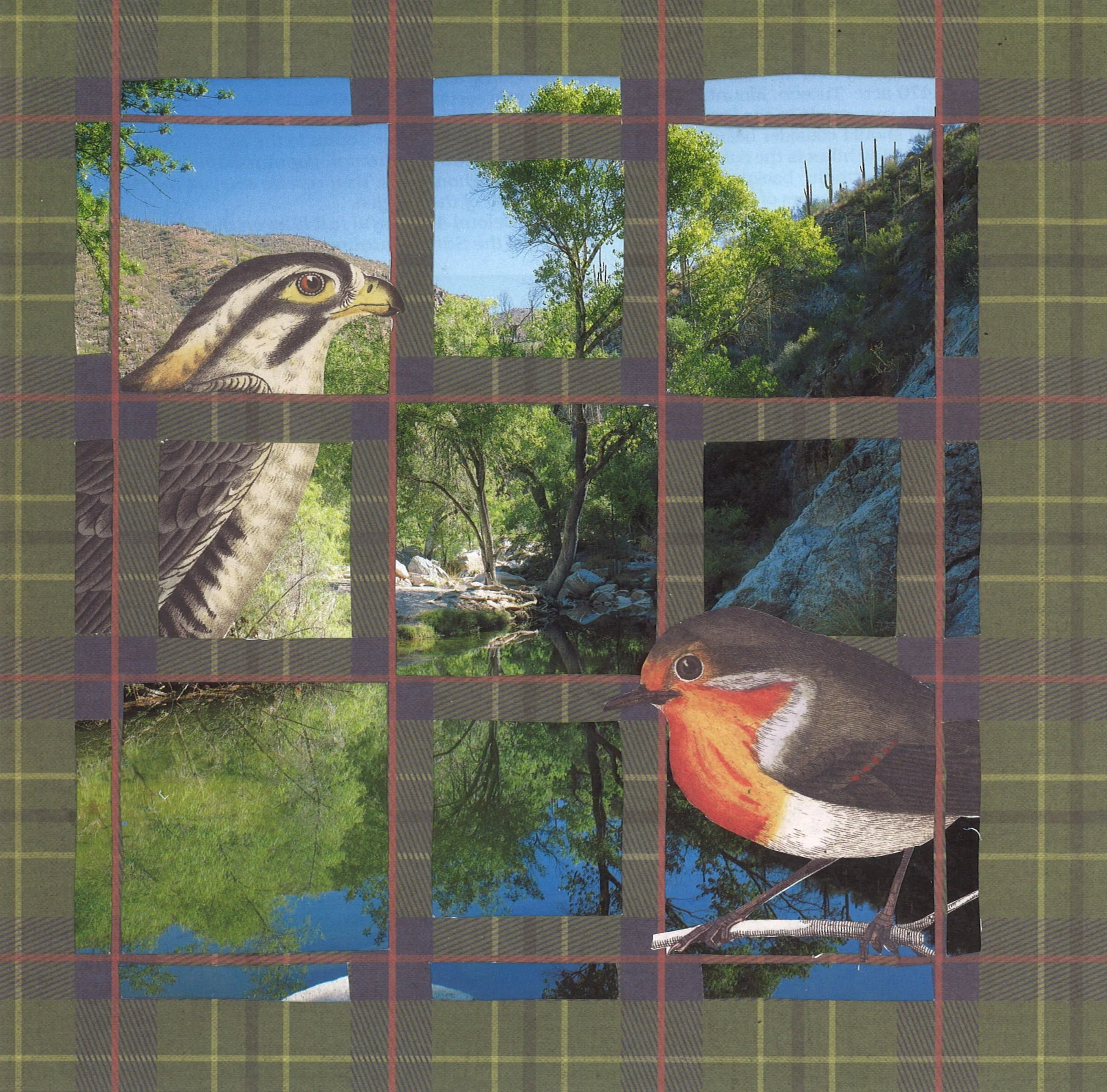 Look through the Window