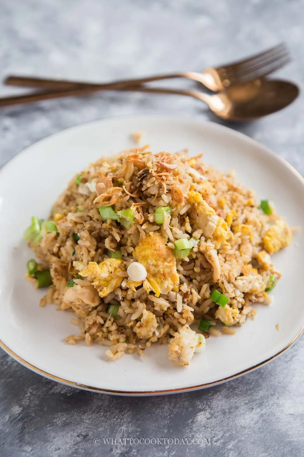 Salted Fish Chicken Fried Rice