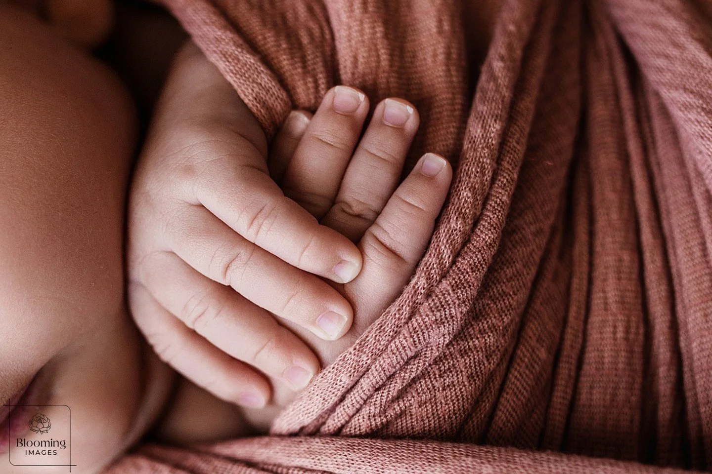 ✨ Sweet Phoebe came to see me at just 7 weeks old, traveling from out of town for her newborn session. She may have been a little older than most of my newborns, but she was pure perfection in every way. 💛 Scroll over to see her beautiful eyes.